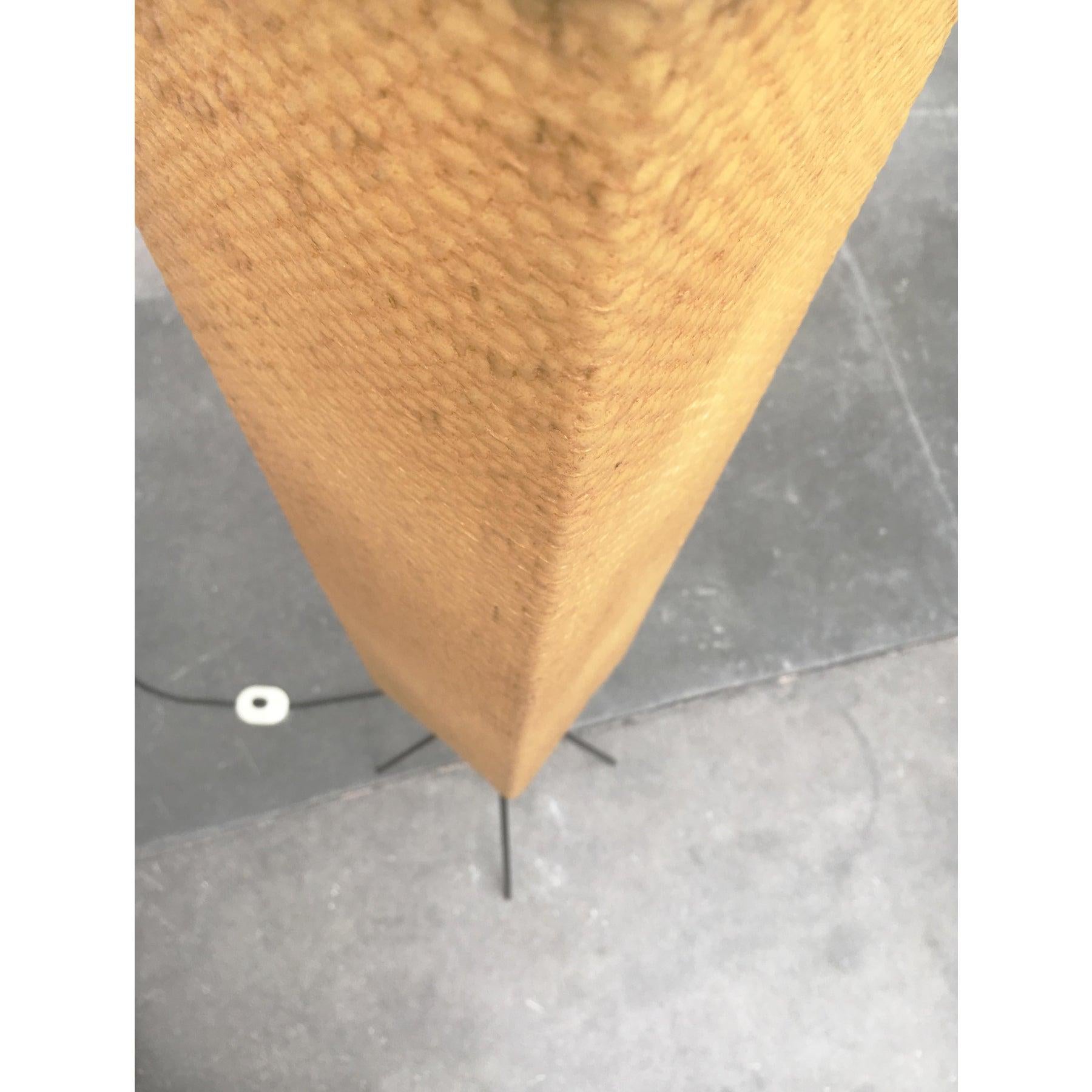 German Metal and Plastic Floor Lamp from Hesse Leuchten, 1960s For Sale 2