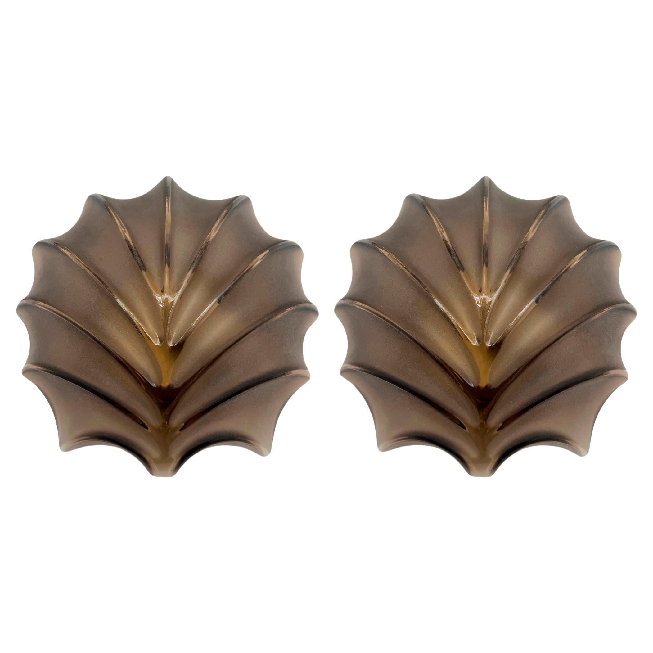 German Mid-Century Shell Brown glass Pair of Wall Sconces by Hillebrand, 1970s For Sale