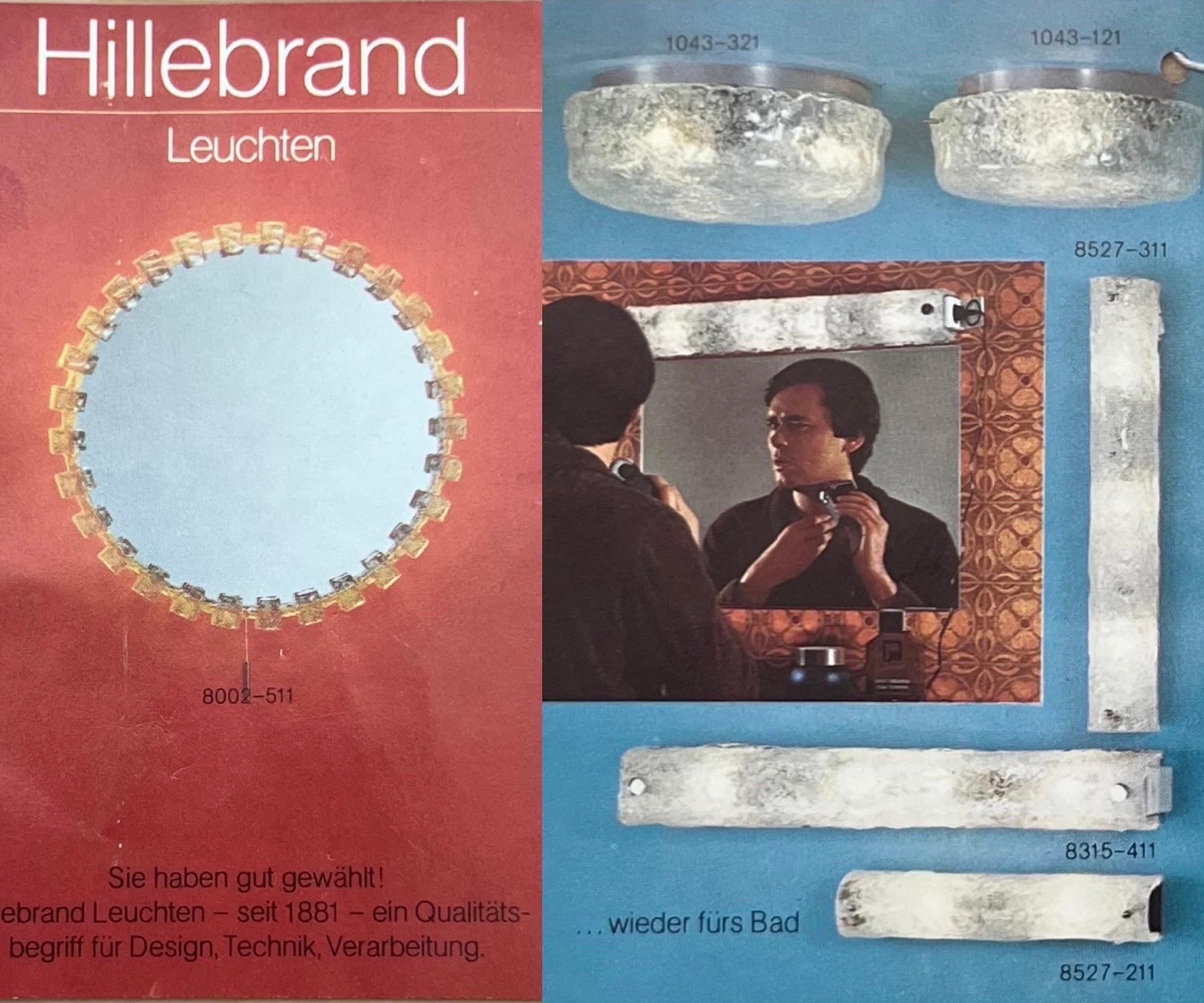 German Midcentury Set of Six Murano IceGlass Wall Sconces by Hillebrand, 1970s 6