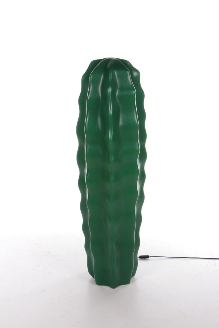 kirschlorbeer hecke wachstum Portugiesischer Kirschlorbeer Angustifolia Höhe 180-200 cm Ballenware main image 1
