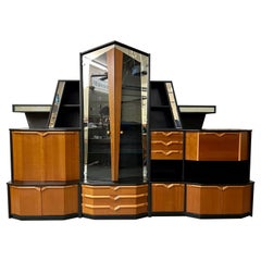 German Modernist Wall Unit by Schieder Mobel