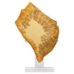 German Natural Dendrite Crystals Mounted in a Custom Acrylic Base