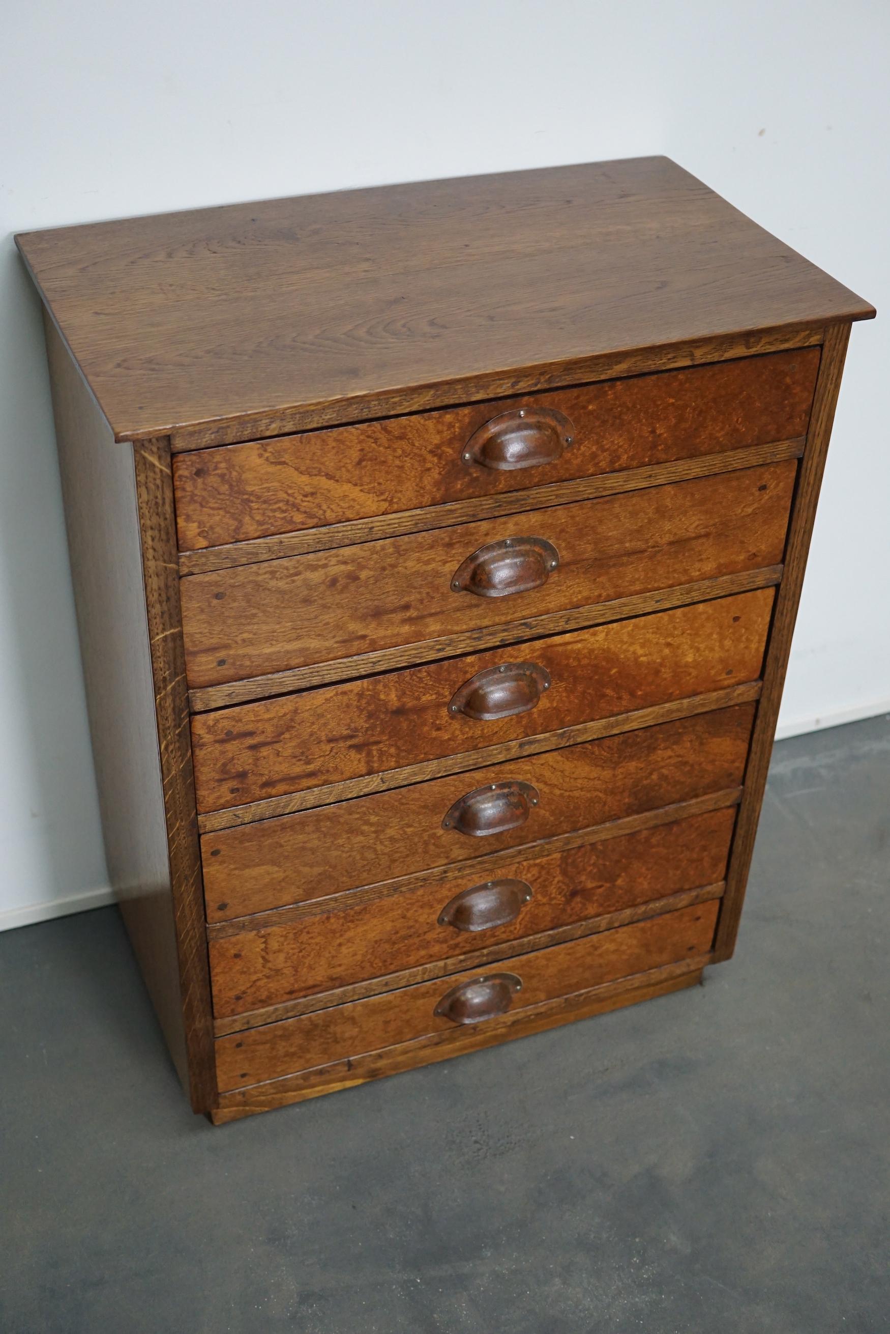 German Oak Apothecary Cabinet, Mid-20th Century 1