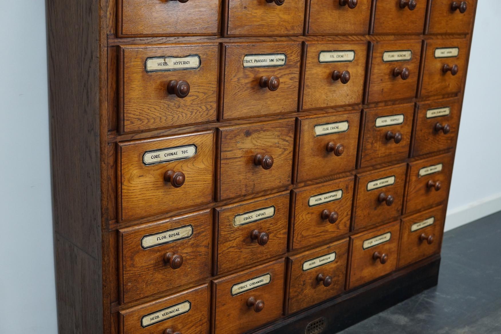 German Oak Apothecary Cabinet or Bank of Drawers, Early 20th Century 6