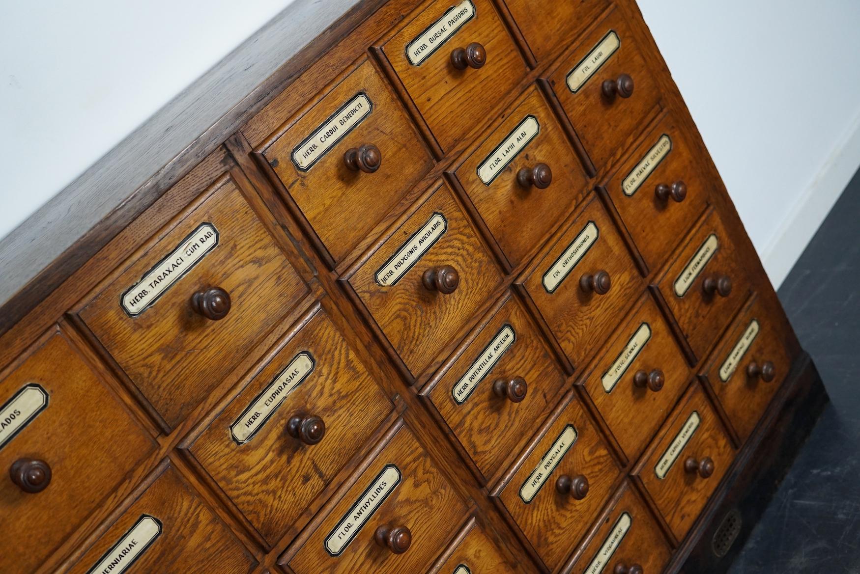 German Oak Apothecary Cabinet or Bank of Drawers, Early 20th Century 4