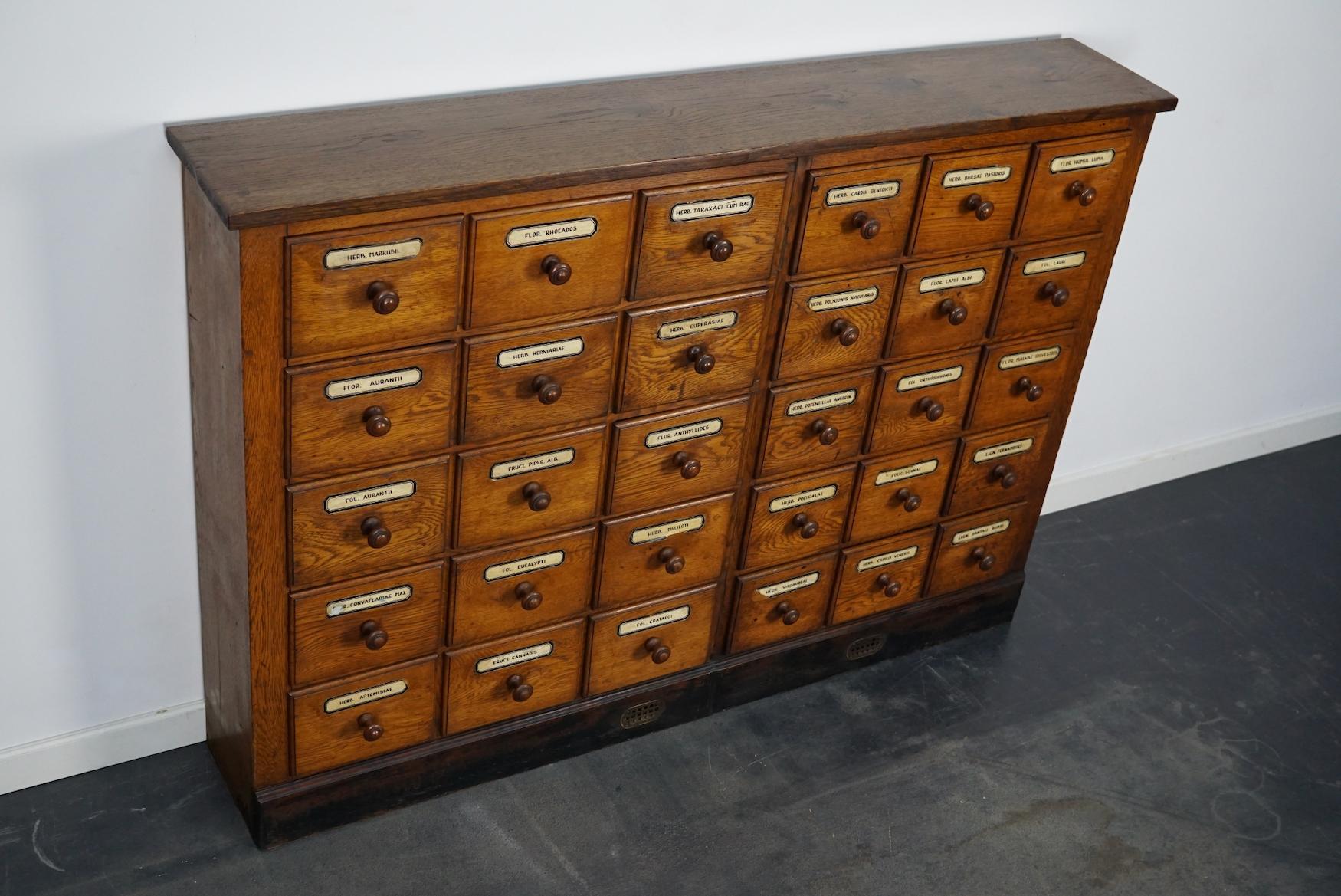 German Oak Apothecary Cabinet or Bank of Drawers, Early 20th Century 5