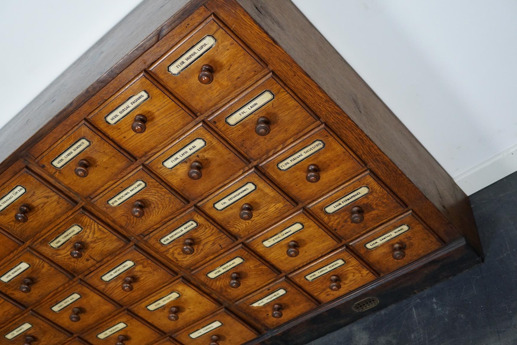 German Oak Apothecary Cabinet or Bank of Drawers, Early 20th Century 6