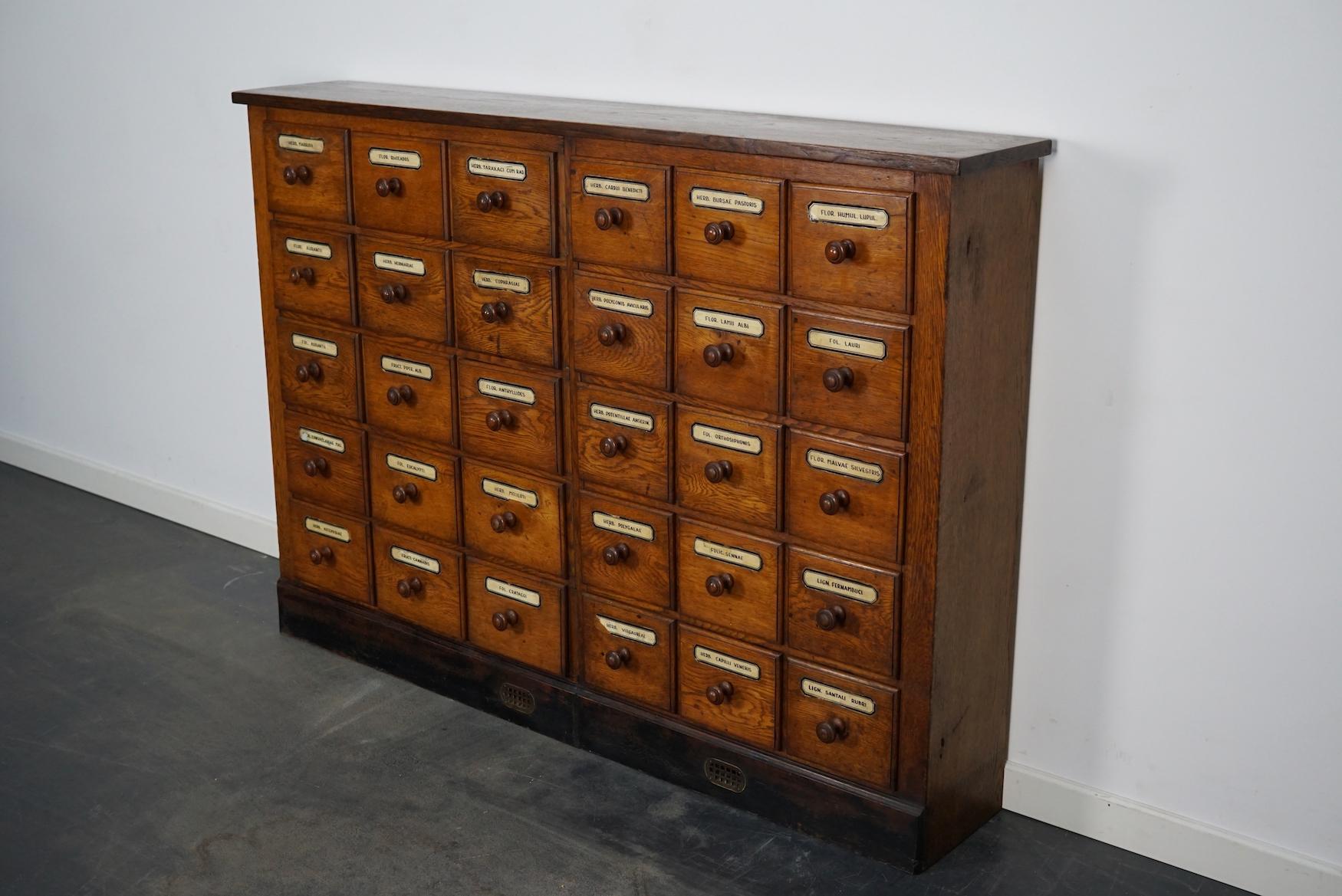 German Oak Apothecary Cabinet or Bank of Drawers, Early 20th Century 7