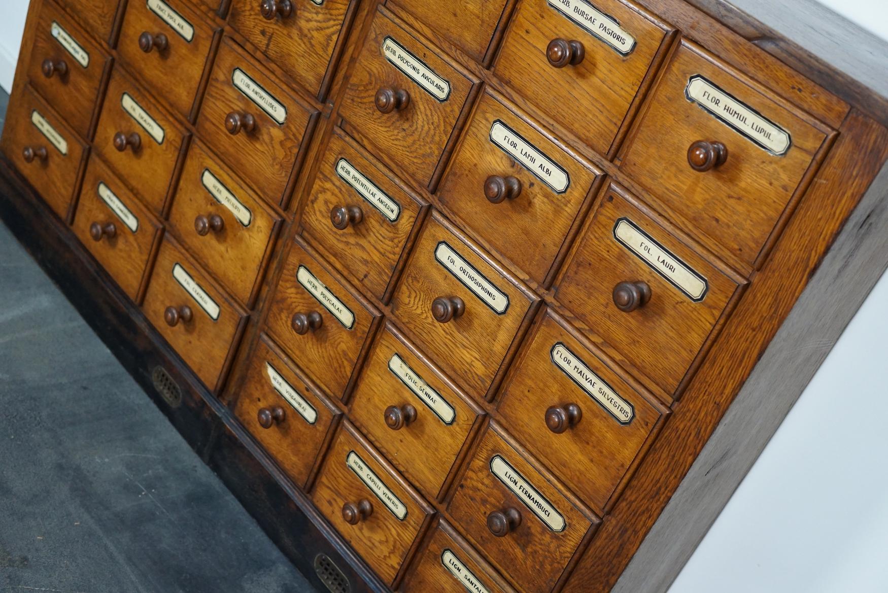 German Oak Apothecary Cabinet or Bank of Drawers, Early 20th Century 8