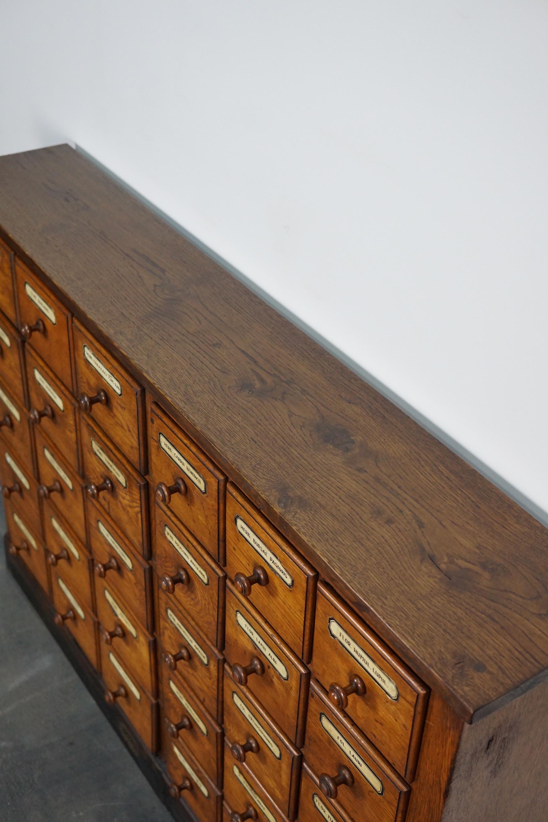 German Oak Apothecary Cabinet or Bank of Drawers, Early 20th Century 9