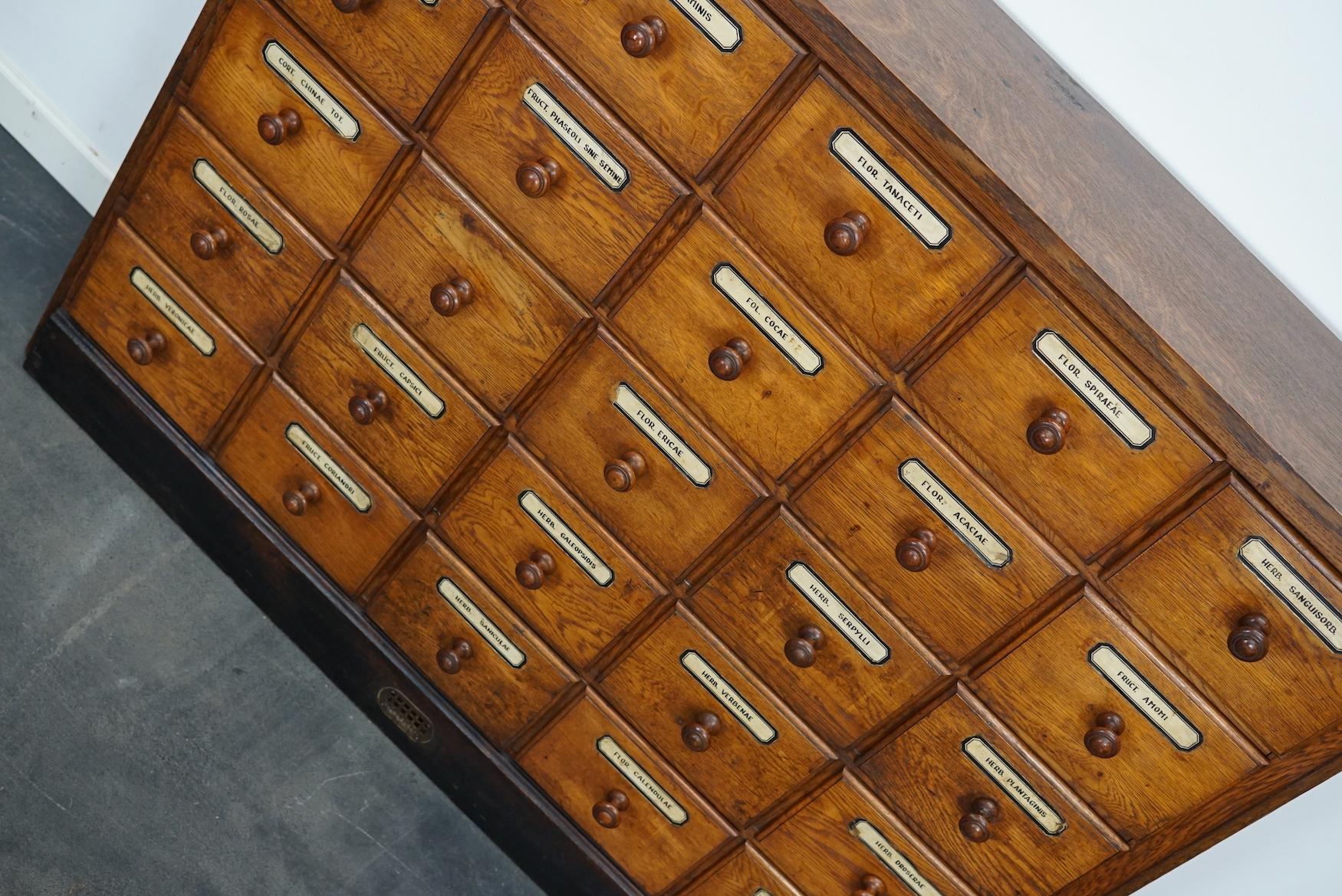 German Oak Apothecary Cabinet or Bank of Drawers, Early 20th Century 13