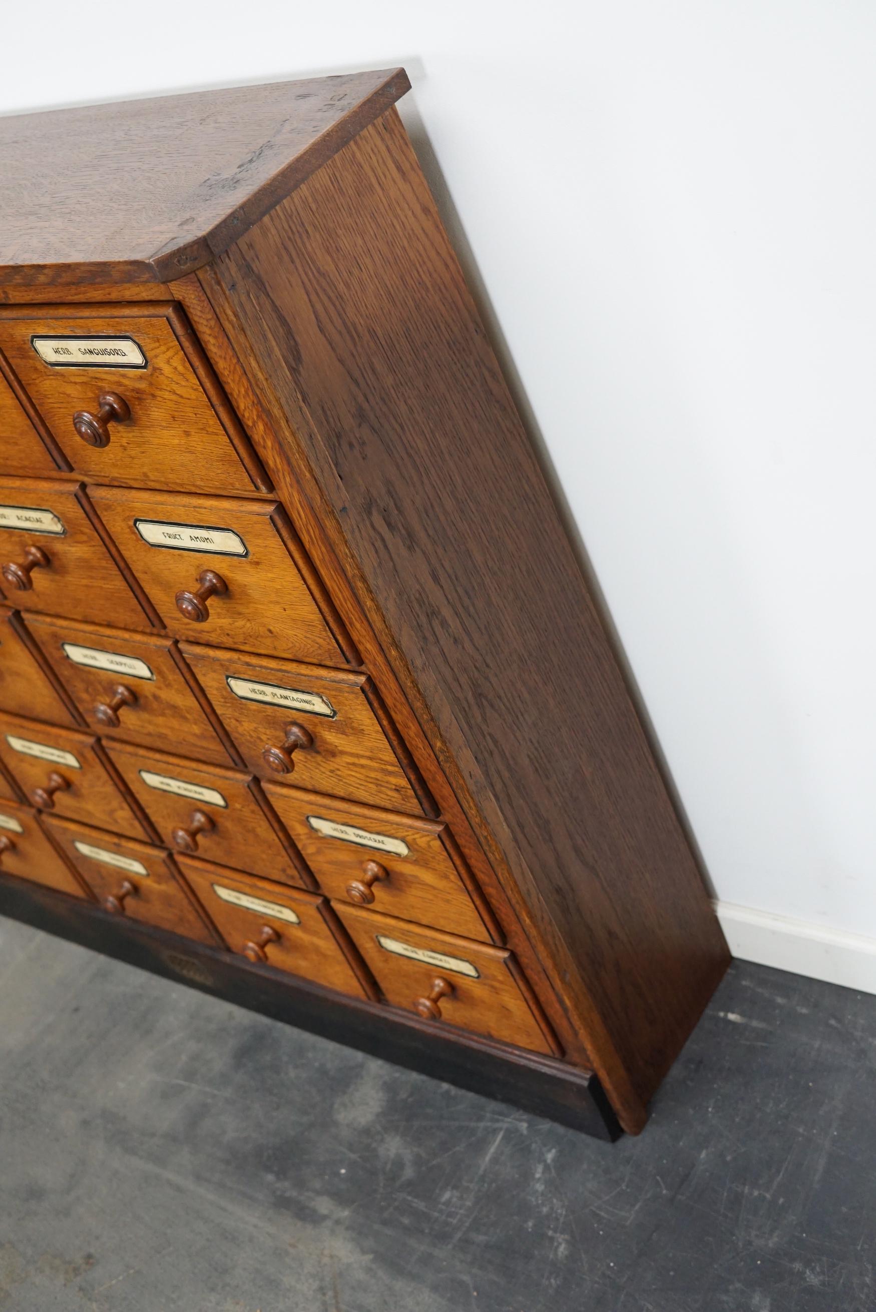 German Oak Apothecary Cabinet or Bank of Drawers, Early 20th Century 1