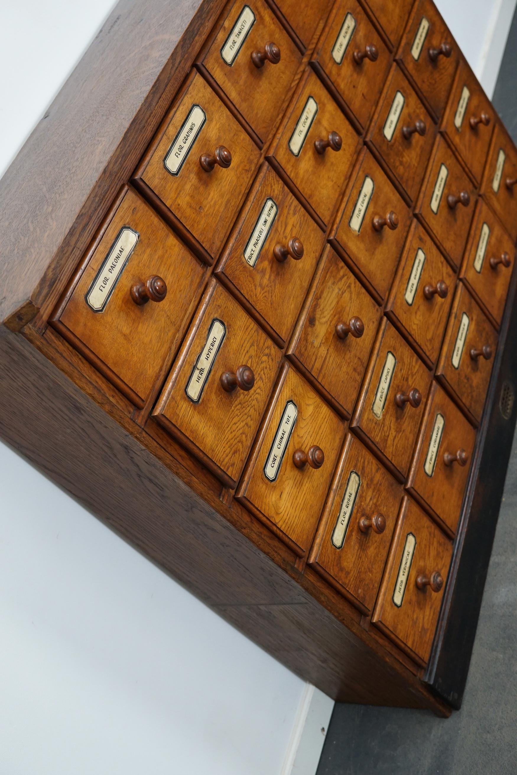 German Oak Apothecary Cabinet or Bank of Drawers, Early 20th Century 3