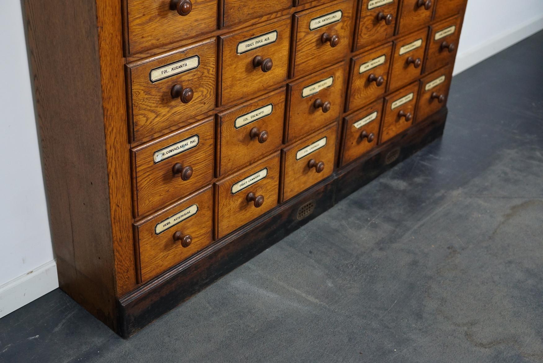 German Oak Apothecary Cabinet or Bank of Drawers, Early 20th Century 2
