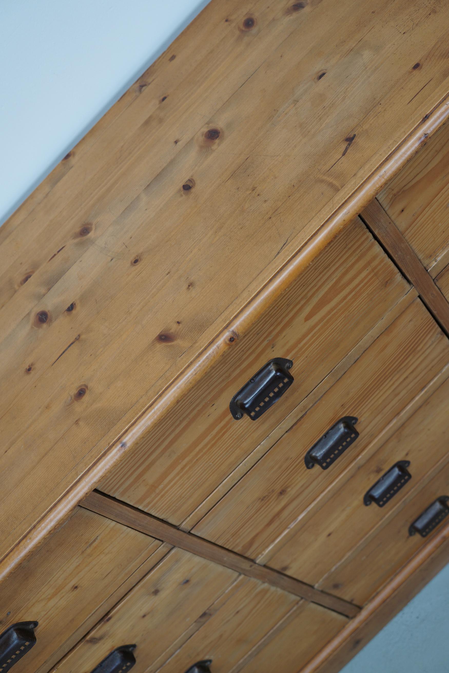 German Pine Apothecary Cabinet or Bank of Drawers, ca 1930s 1