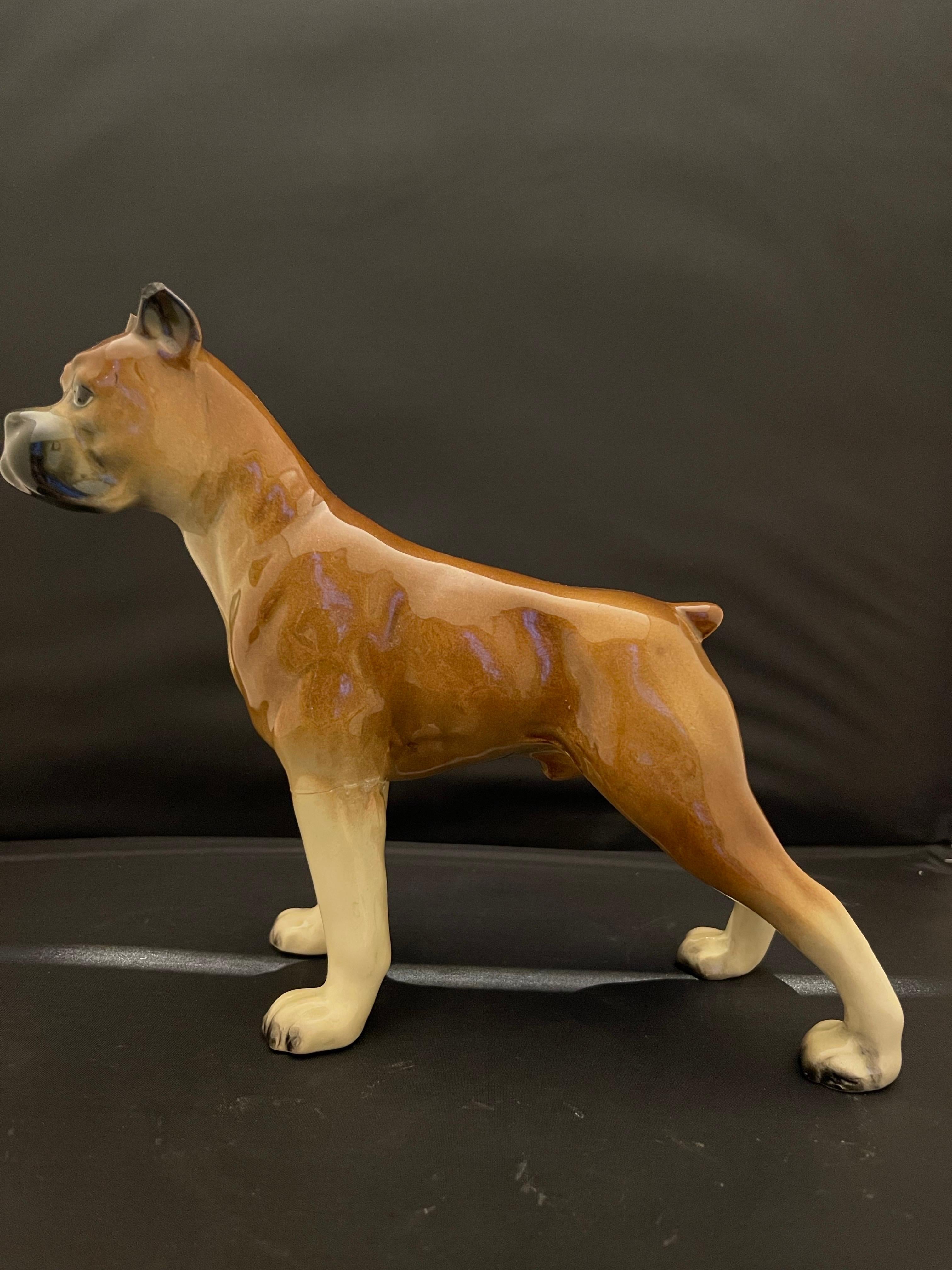 German Porcelain Figure of a Boxer Dog, Early 20th Century For Sale 1