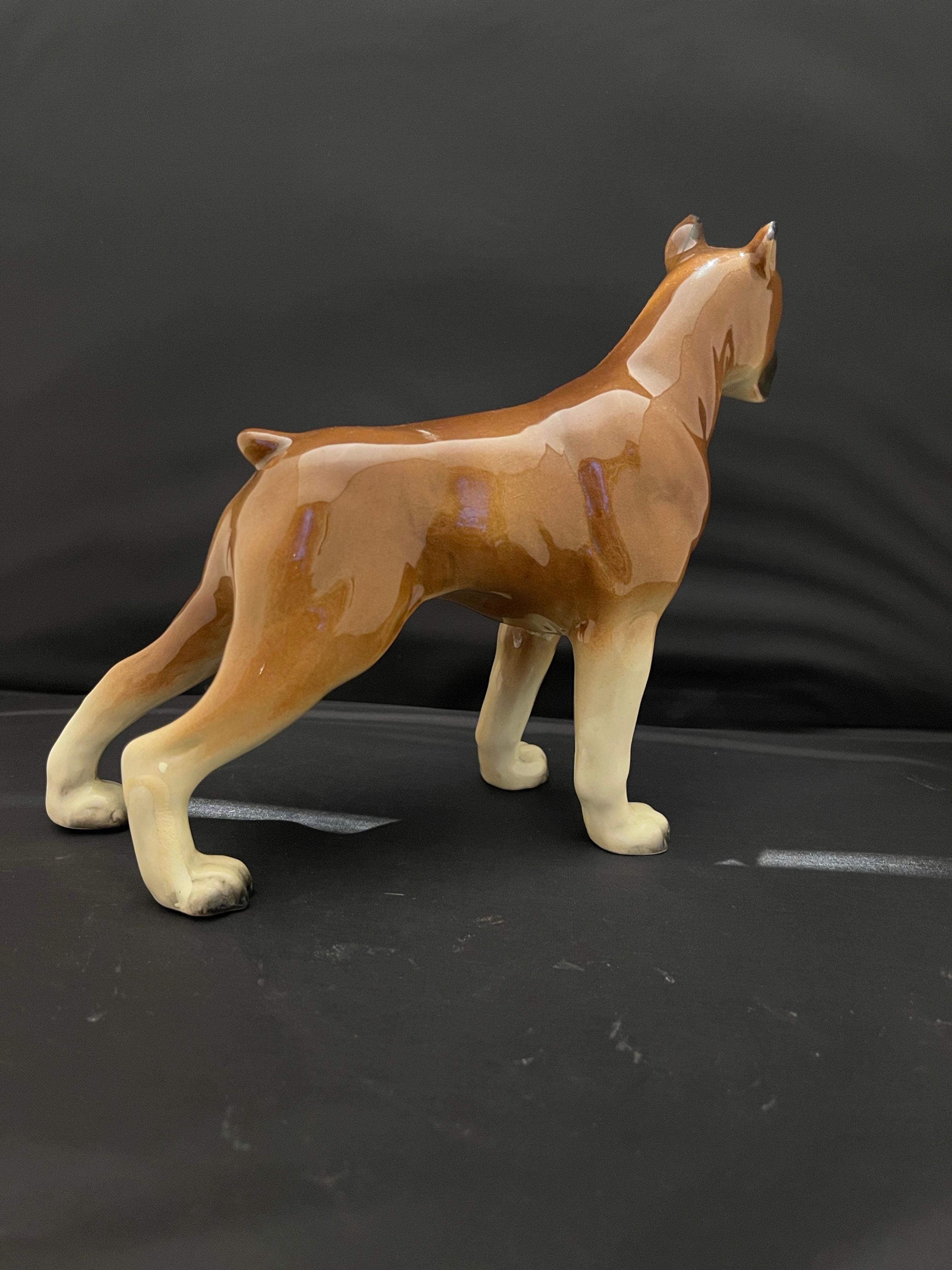 German Porcelain Figure of a Boxer Dog, Early 20th Century For Sale 2