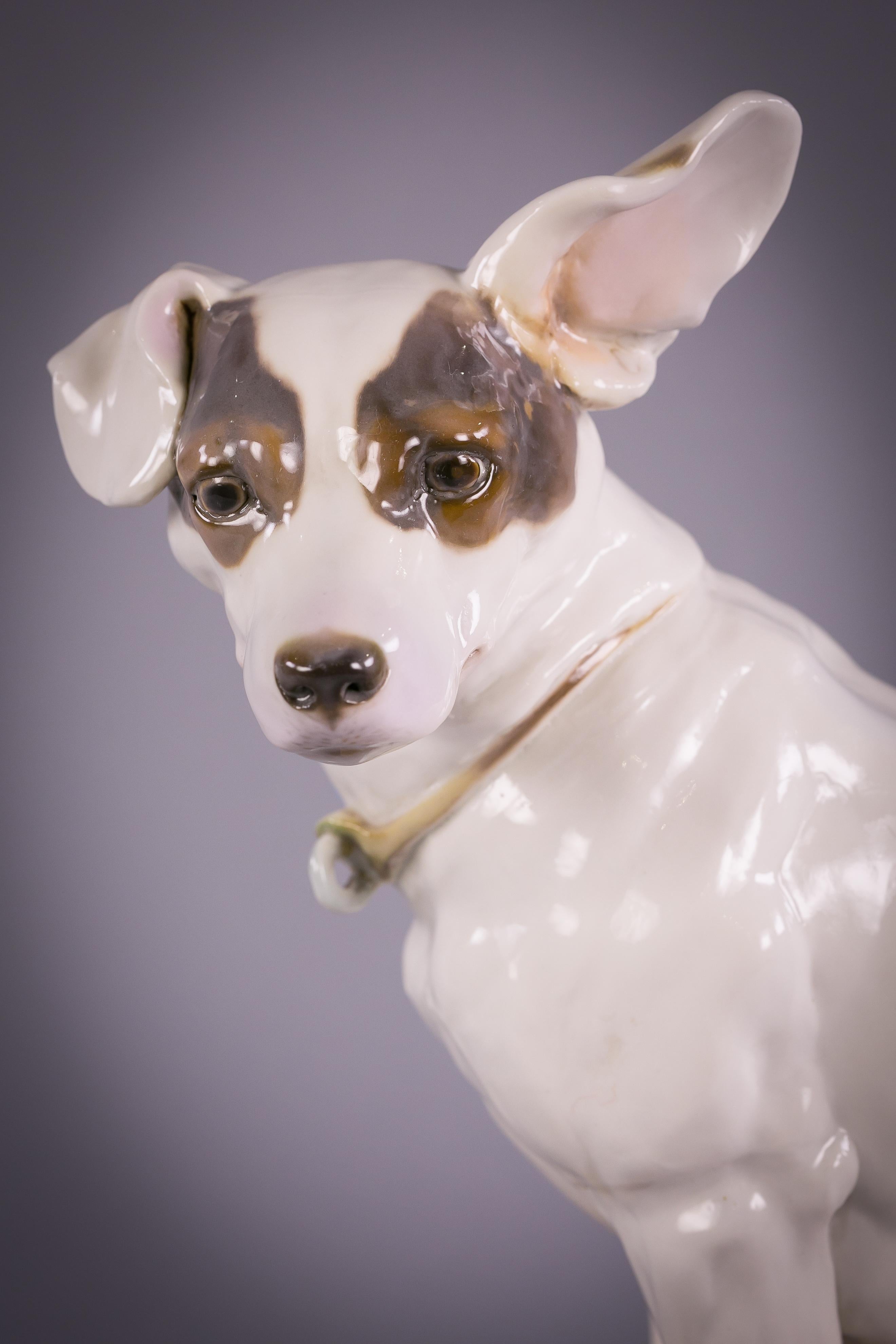 Deutsche Porzellanfigur eines Hundes:: Nymphenburg:: datiert 1918 im Zustand „Hervorragend“ in New York, NY