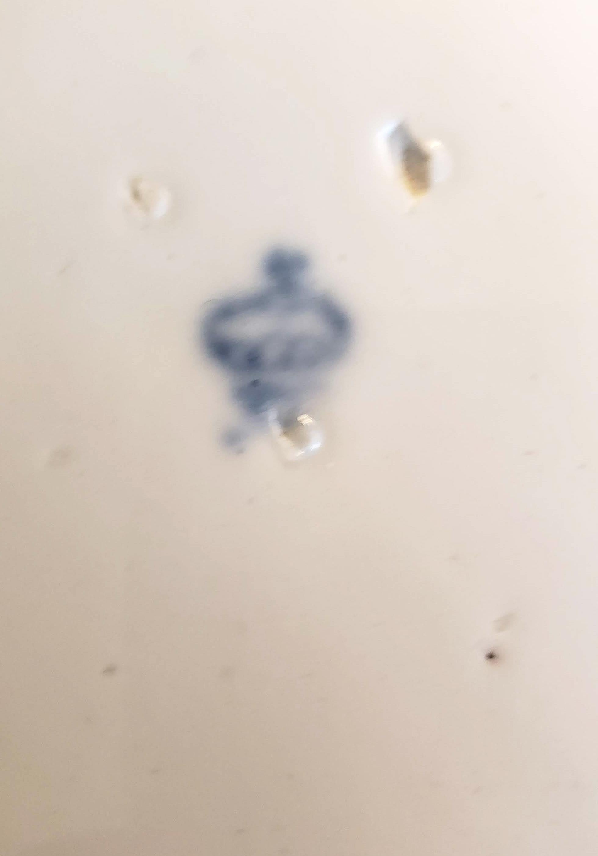 German Porcelain Large Botanical Bowl or Basin, Ludwigsburg, circa 1780 In Good Condition In Downingtown, PA