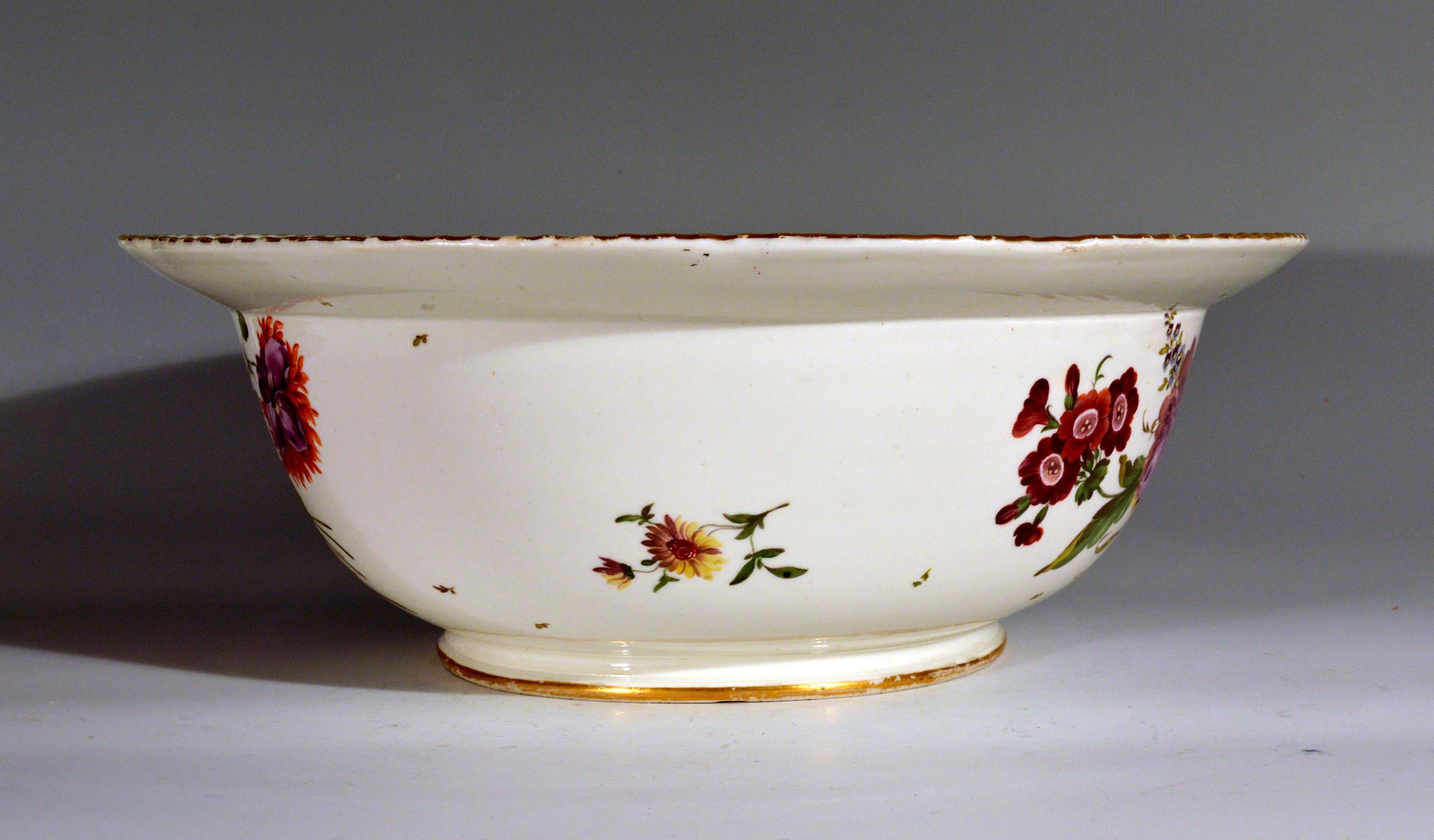 German Porcelain Large Botanical Bowl or Basin, Ludwigsburg, circa 1780 3