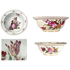 German Porcelain Large Botanical Bowl or Basin, Ludwigsburg, circa 1780