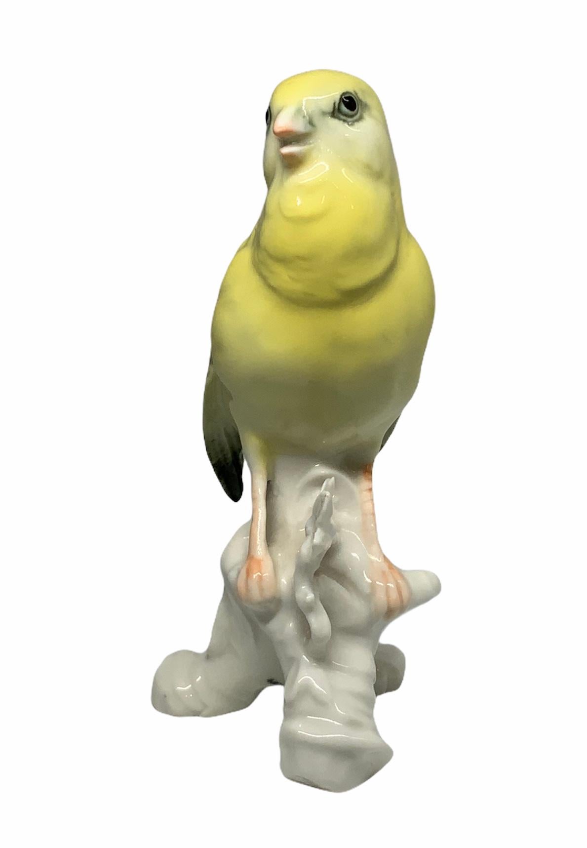 Deutsches Porzellan mit einer Vogelfigur aus Kanarienvogel im Zustand „Gut“ im Angebot in Guaynabo, PR