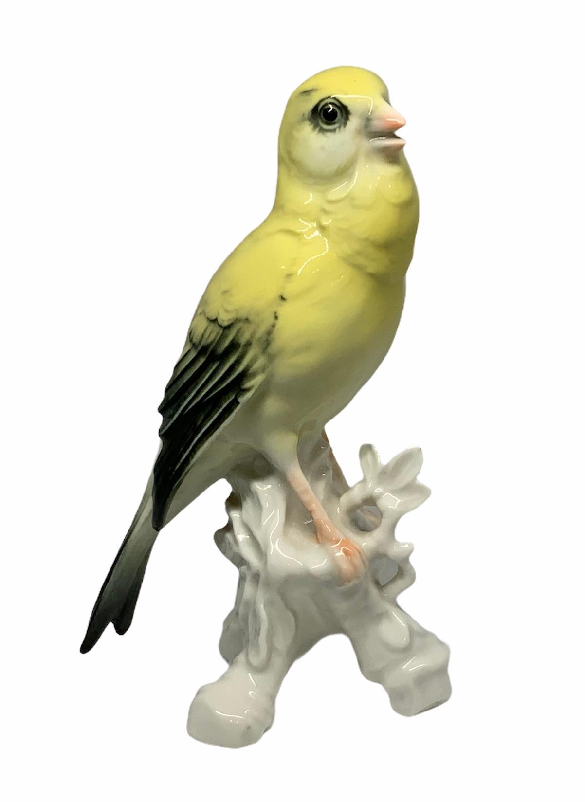 Porcelaine allemande d'une figure d'oiseau canari Bon état - En vente à Guaynabo, PR