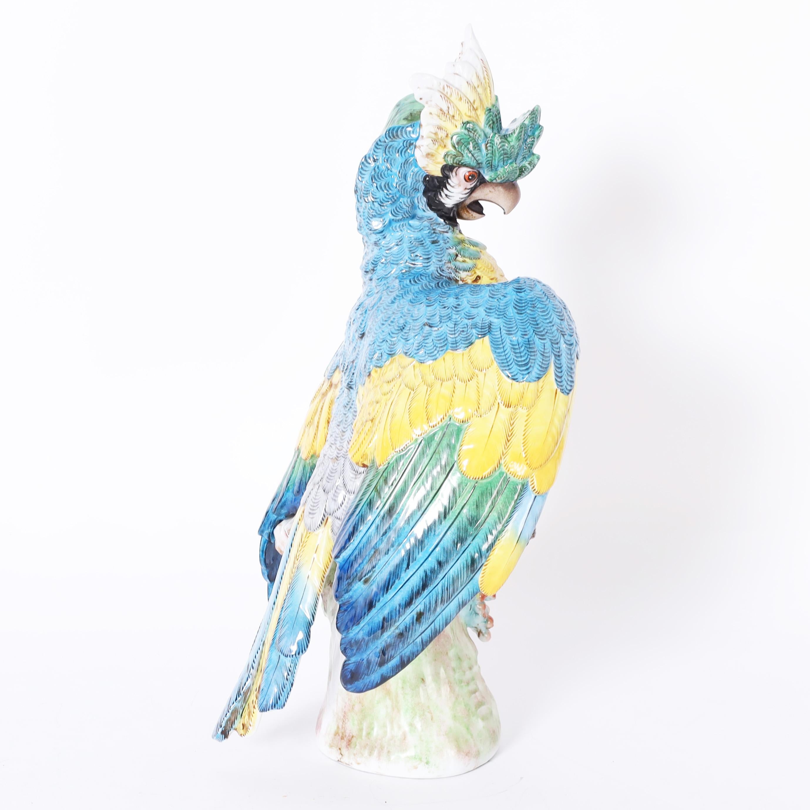 Glazed German Porcelain Parrot For Sale
