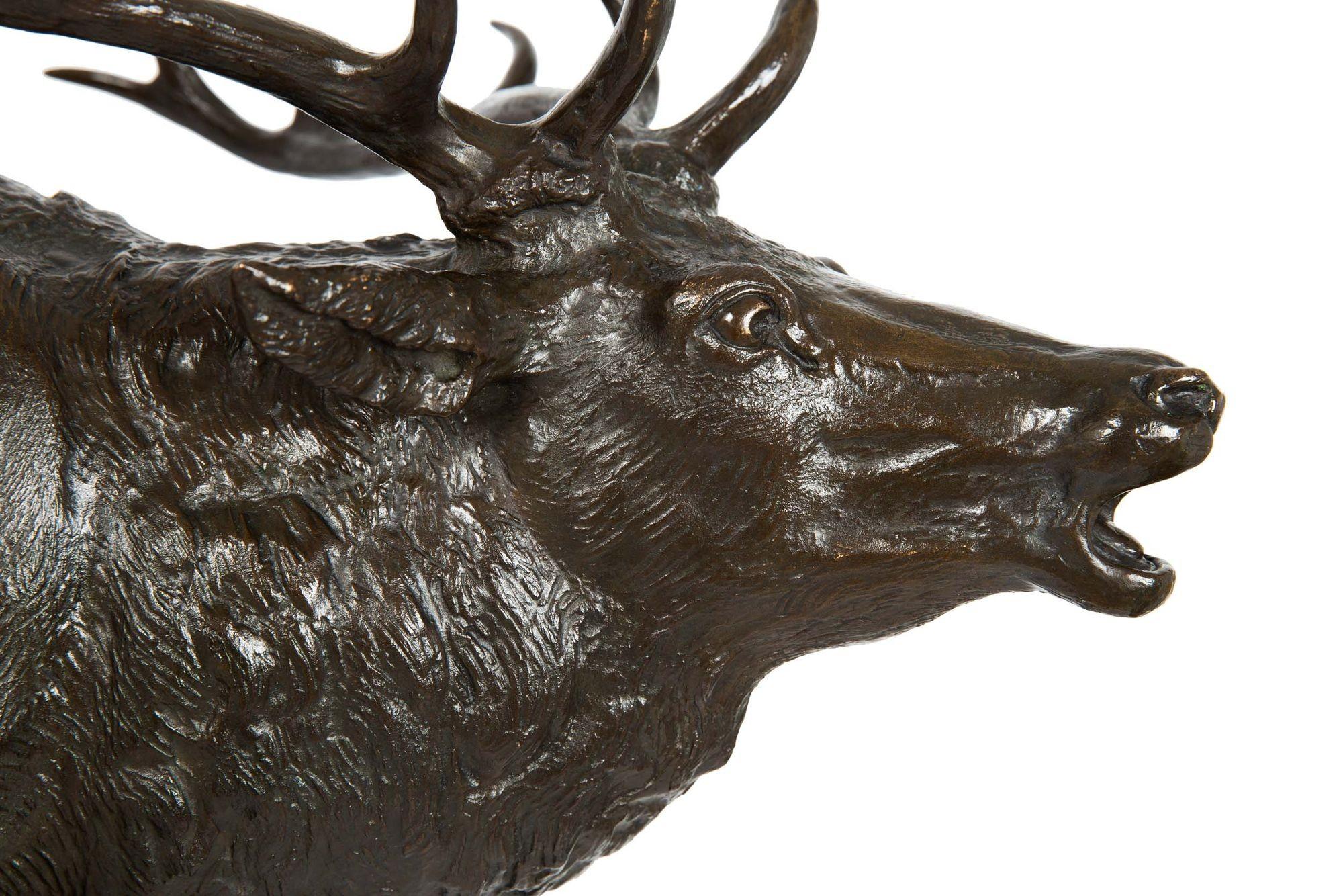 German School Antique Bronze Sculpture of a Barking Elk by Armbruster 9