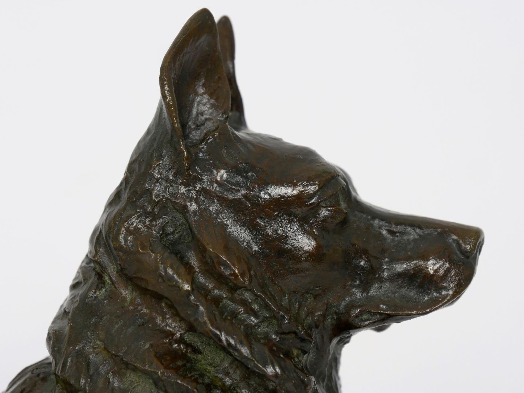 „Deutscher Hirte“ Antike französische Bronzeskulptur Hund von P. Tourgueneff & Susse 9
