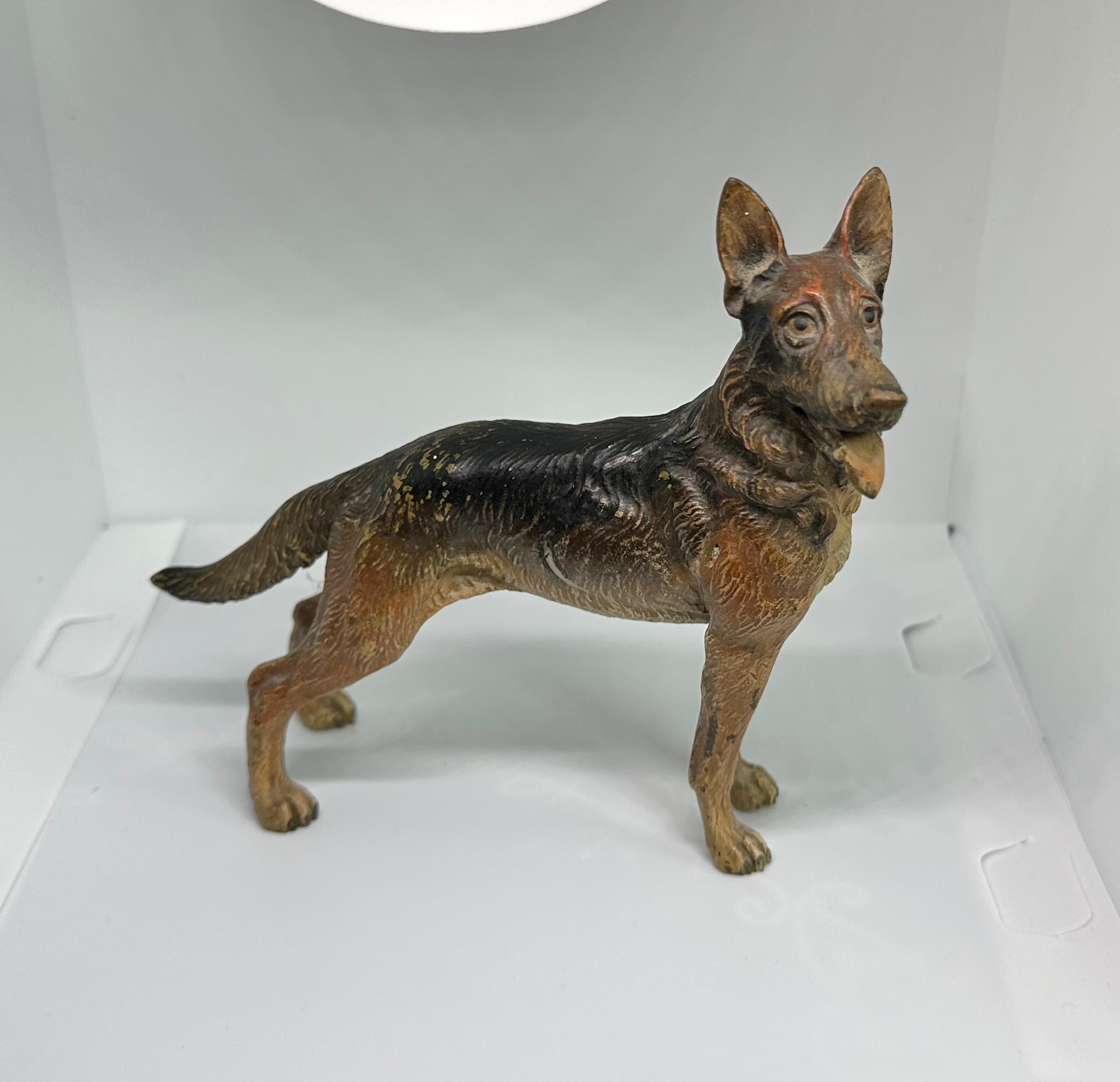 Deutscher Schäferhund Österreicher Vienna Bronze Circa 1900 6,5 Zoll Österreich Bronze im Zustand „Hervorragend“ im Angebot in New York, NY