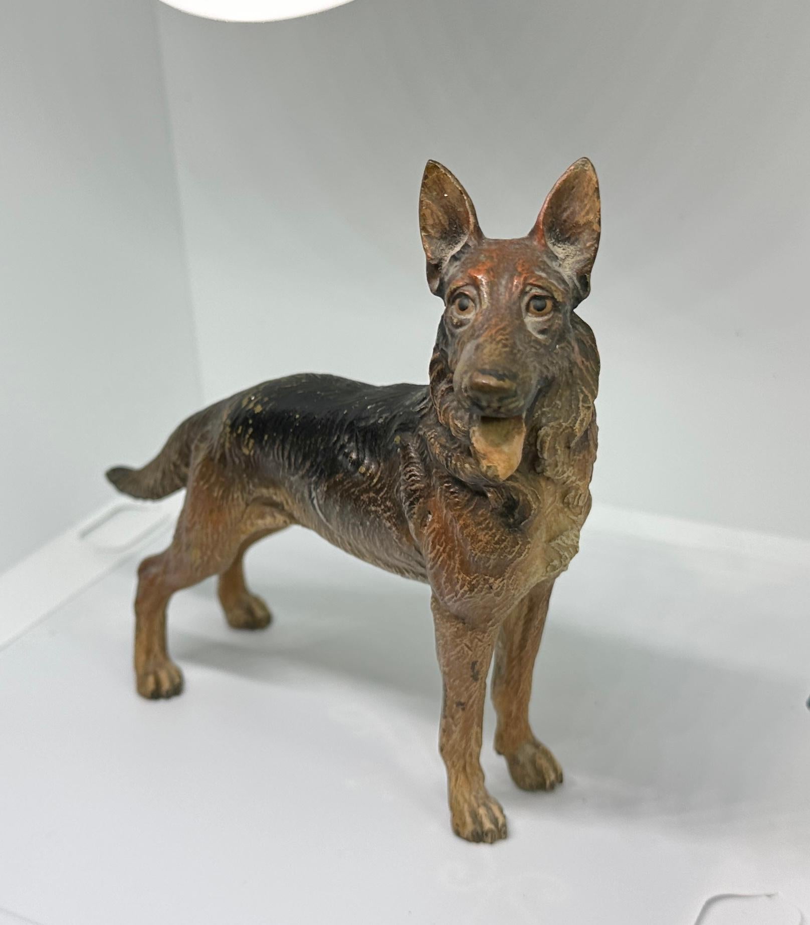 Deutscher Schäferhund Österreicher Vienna Bronze Circa 1900 6,5 Zoll Österreich Bronze für Damen oder Herren im Angebot