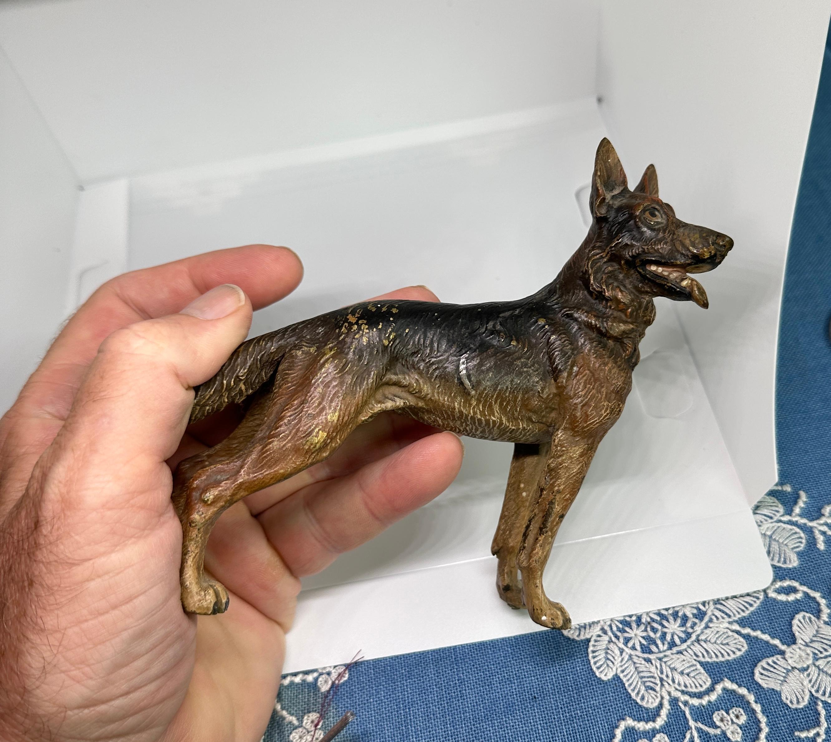 Deutscher Schäferhund Österreicher Vienna Bronze Circa 1900 6,5 Zoll Österreich Bronze im Angebot 1