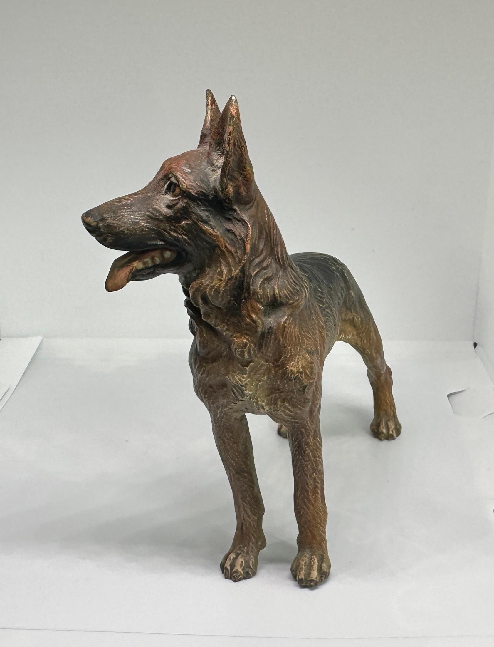 Deutscher Schäferhund Österreicher Vienna Bronze Circa 1900 6,5 Zoll Österreich Bronze im Angebot 2