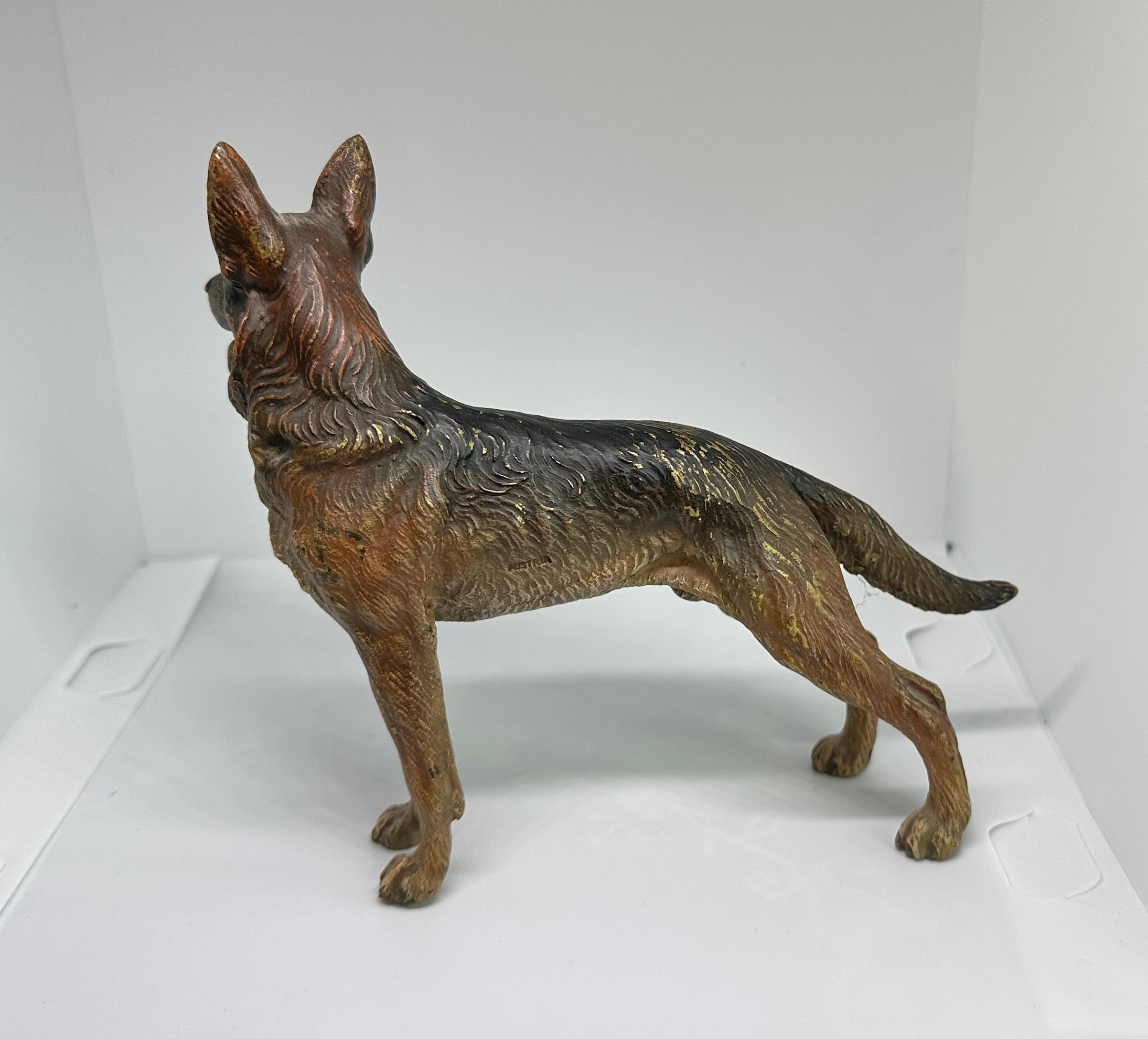 Deutscher Schäferhund Österreicher Vienna Bronze Circa 1900 6,5 Zoll Österreich Bronze im Angebot 3