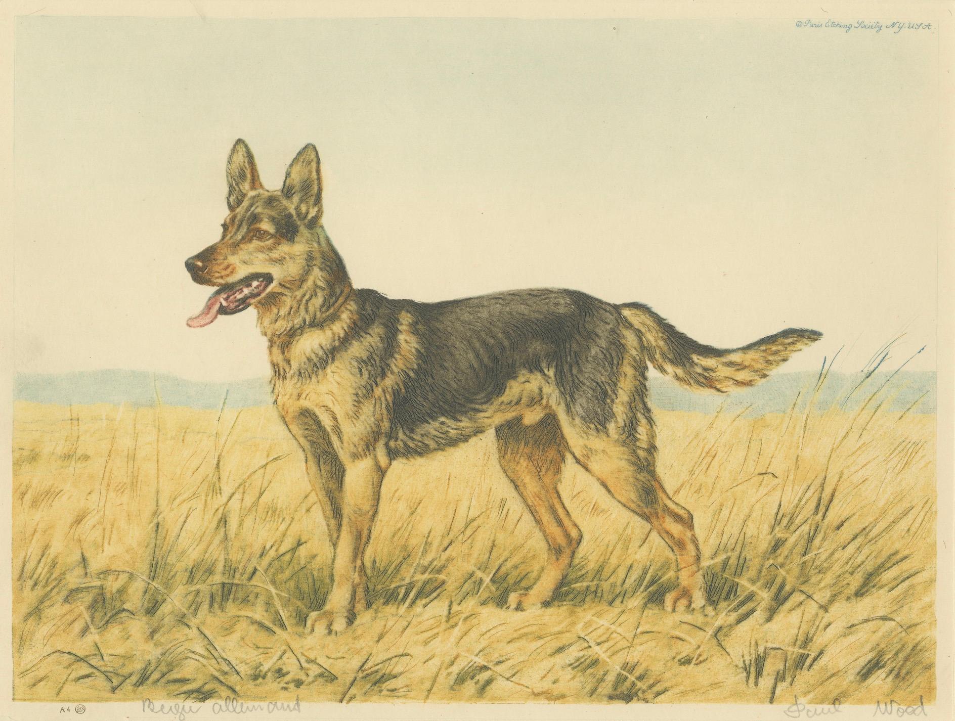Paper German Shepherd in a Scenic Meadow – Hand-Colored Aquatint by Paul Wood, 1935 For Sale