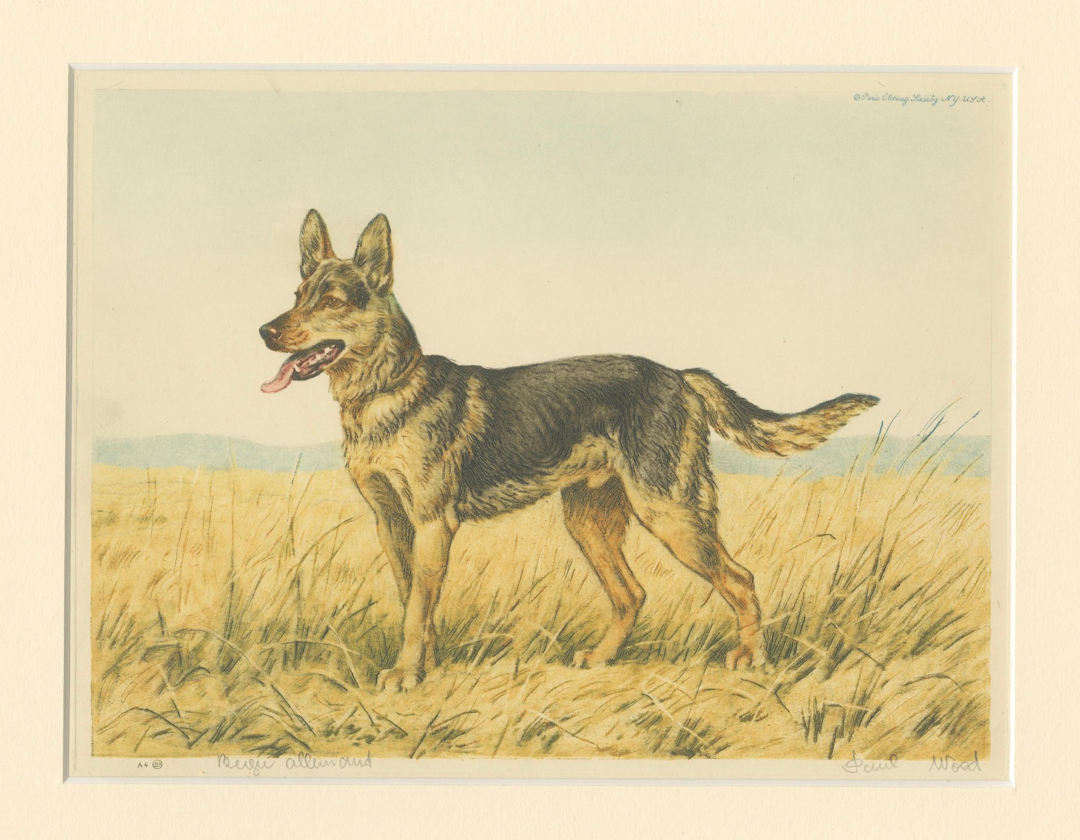 German Shepherd in a Scenic Meadow – Hand-Colored Aquatint by Paul Wood, 1935 For Sale 1