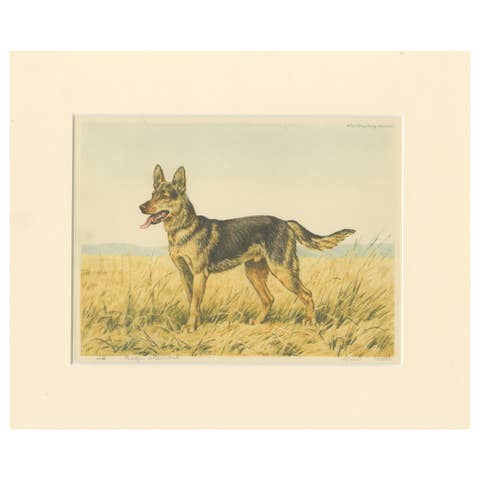 German Shepherd in a Scenic Meadow – Hand-Colored Aquatint by Paul Wood, 1935