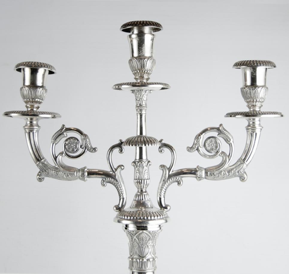 Silvered German Two Chandeliers Silver, Friedlander Brothers, Germany, circa 1890 For Sale