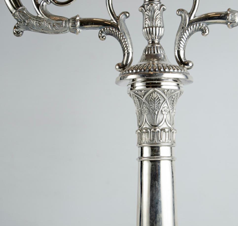 German Two Chandeliers Silver, Friedlander Brothers, Germany, circa 1890 In Good Condition For Sale In Autonomous City Buenos Aires, CABA