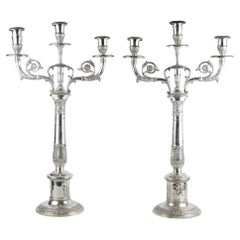 Antique German Two Chandeliers Silver, Friedlander Brothers, Germany, circa 1890