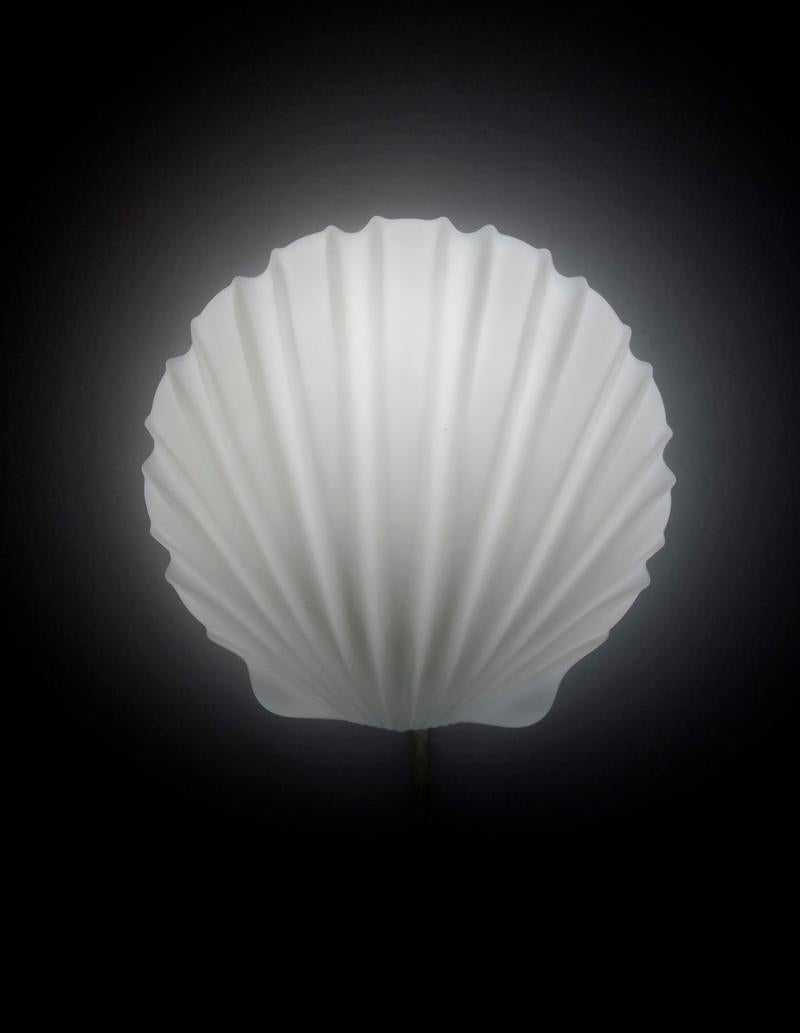 One of German Vintage Sculptural White Glass Shell Wall Light Fixture Flushmount In Good Condition For Sale In Berlin, DE