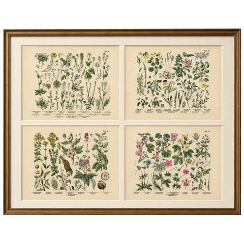 German Wildflower Botanical Plates, Chromolithographs, Stuttgart circa 1890