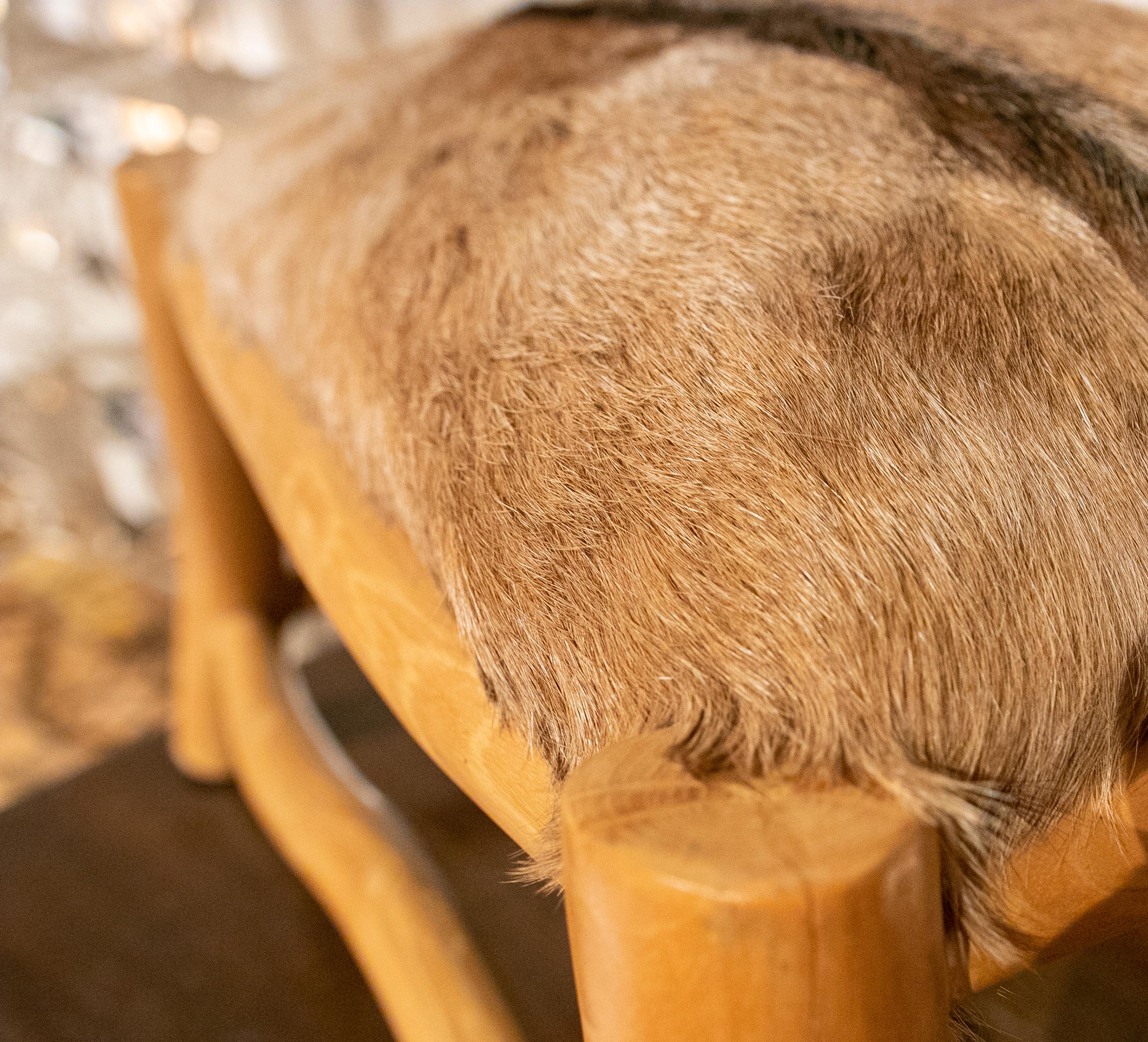 German Wooden Stool with a Fallow Deer Leather Seat 5