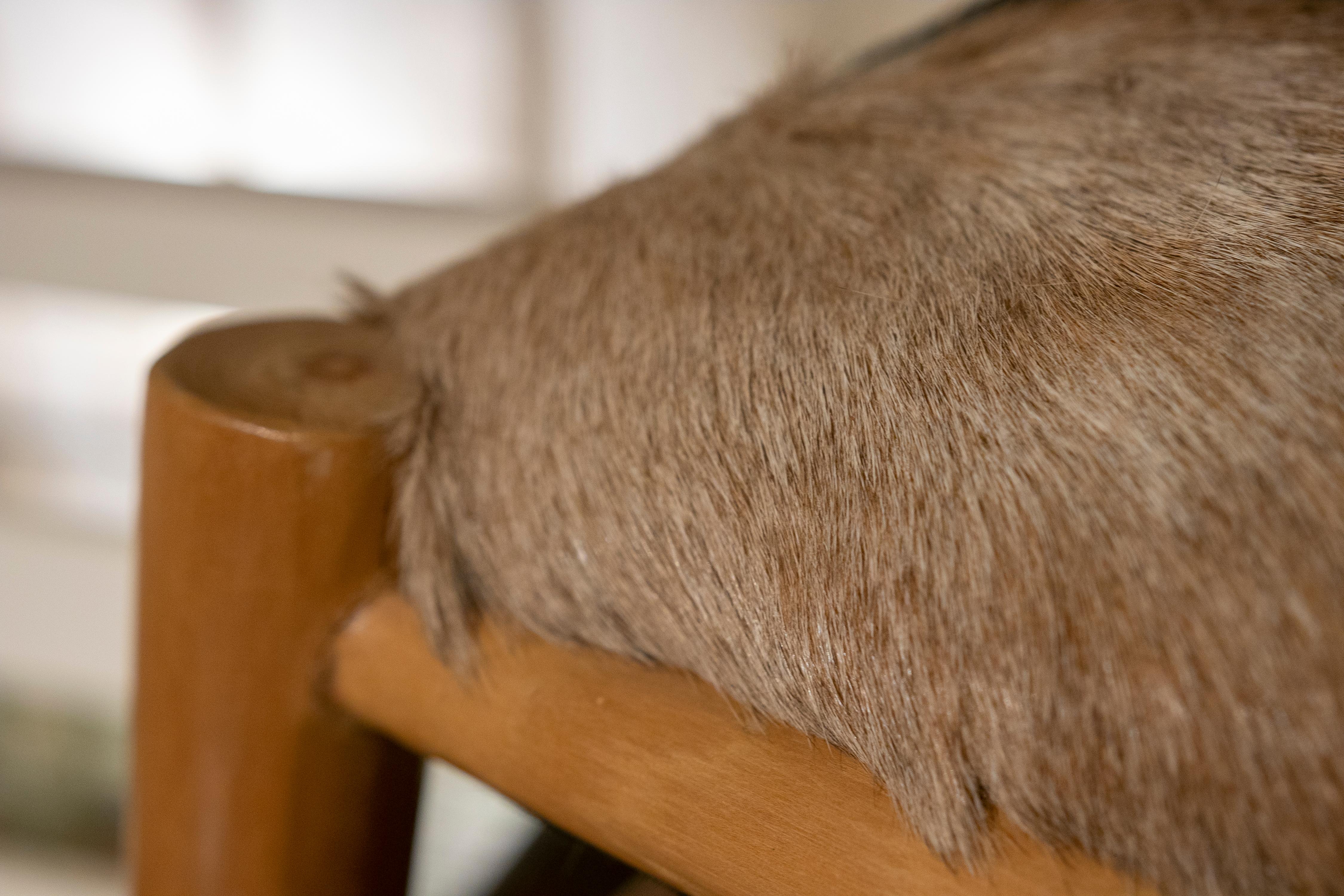 Animal Skin German Wooden Stool with a Fallow Deer Leather Seat
