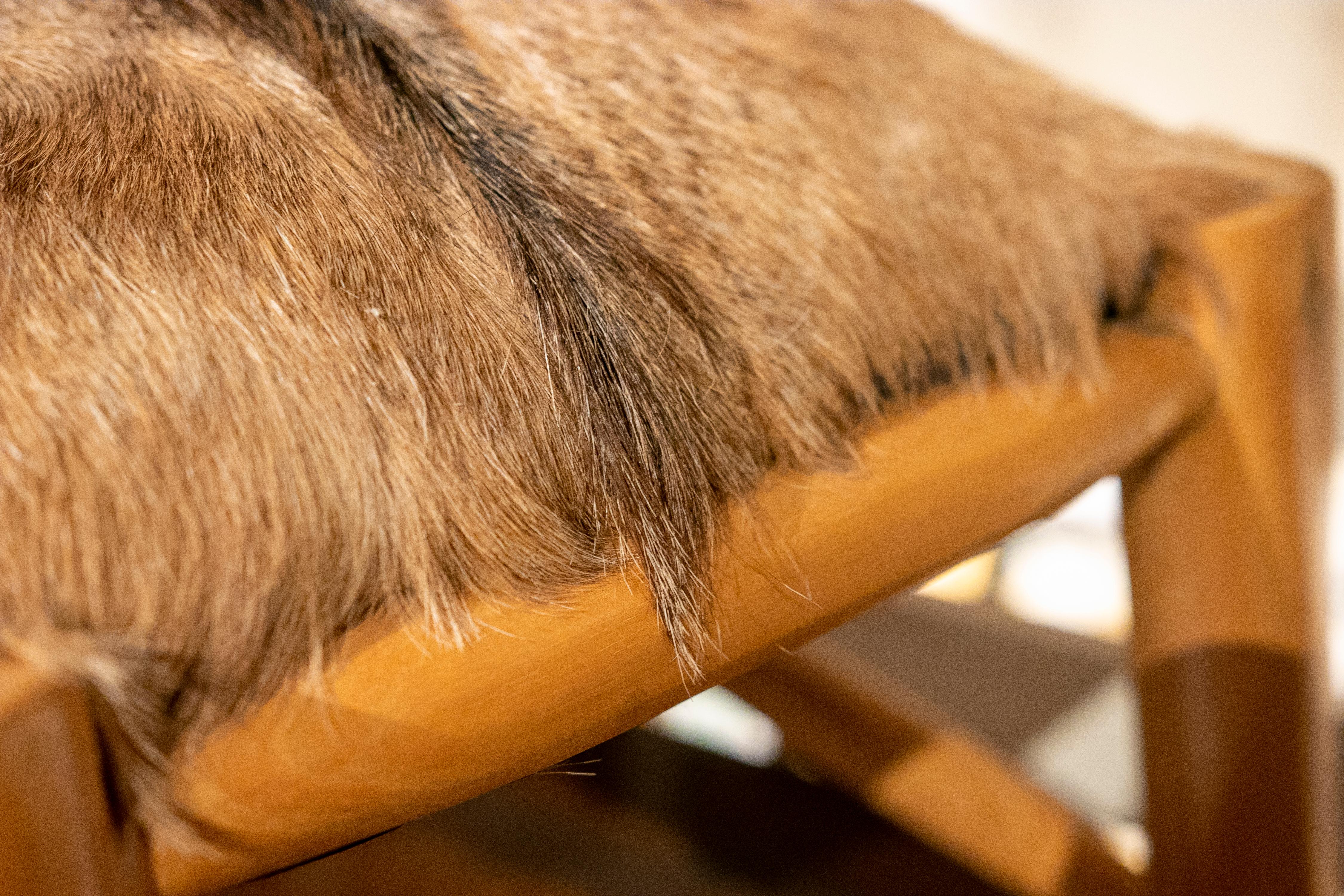 German Wooden Stool with a Fallow Deer Leather Seat 2