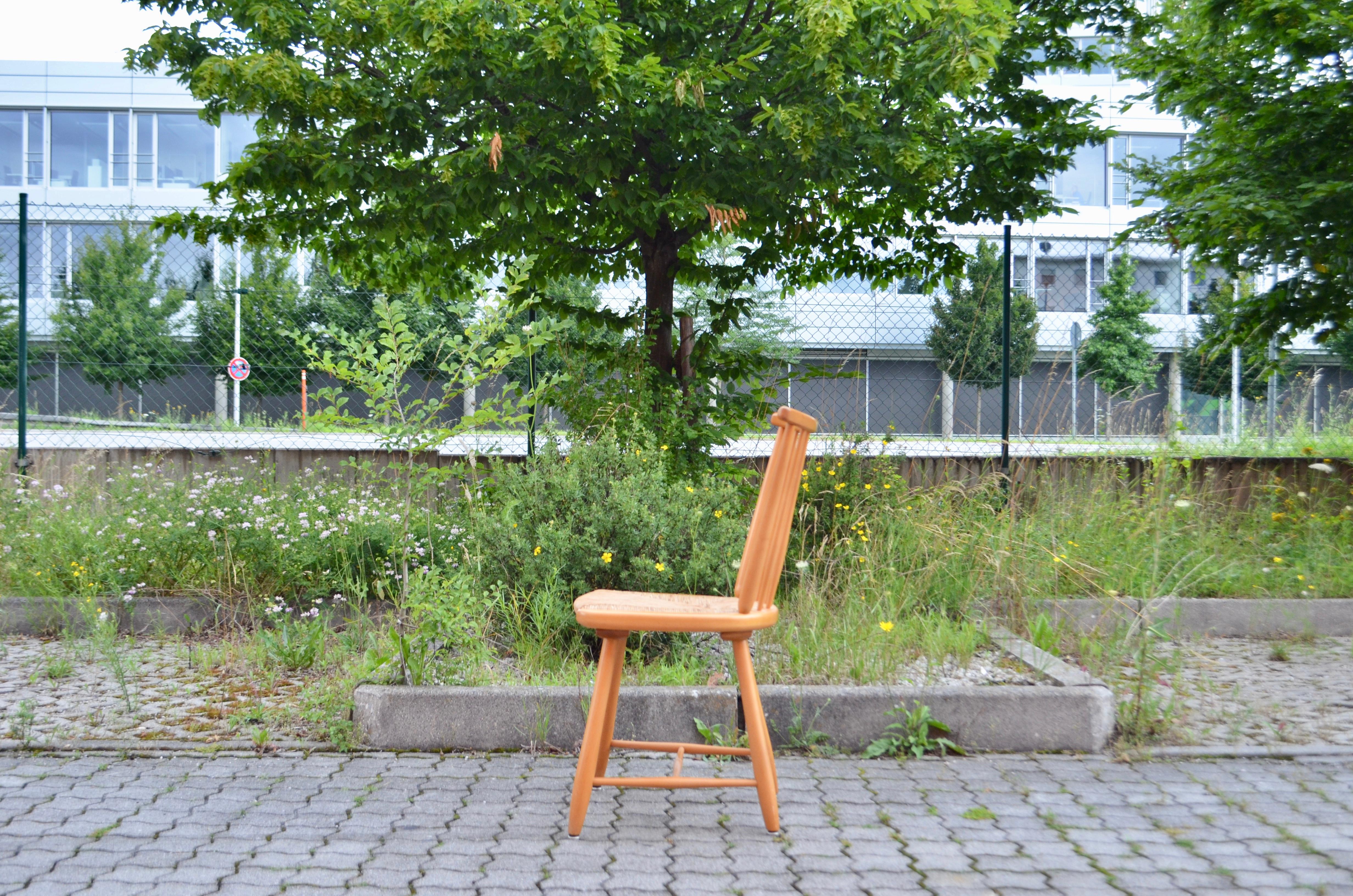 Germany Dining Chairs Wk Möbel Arno Lambrecht Wks Series 1950 Set of 4 For Sale 4