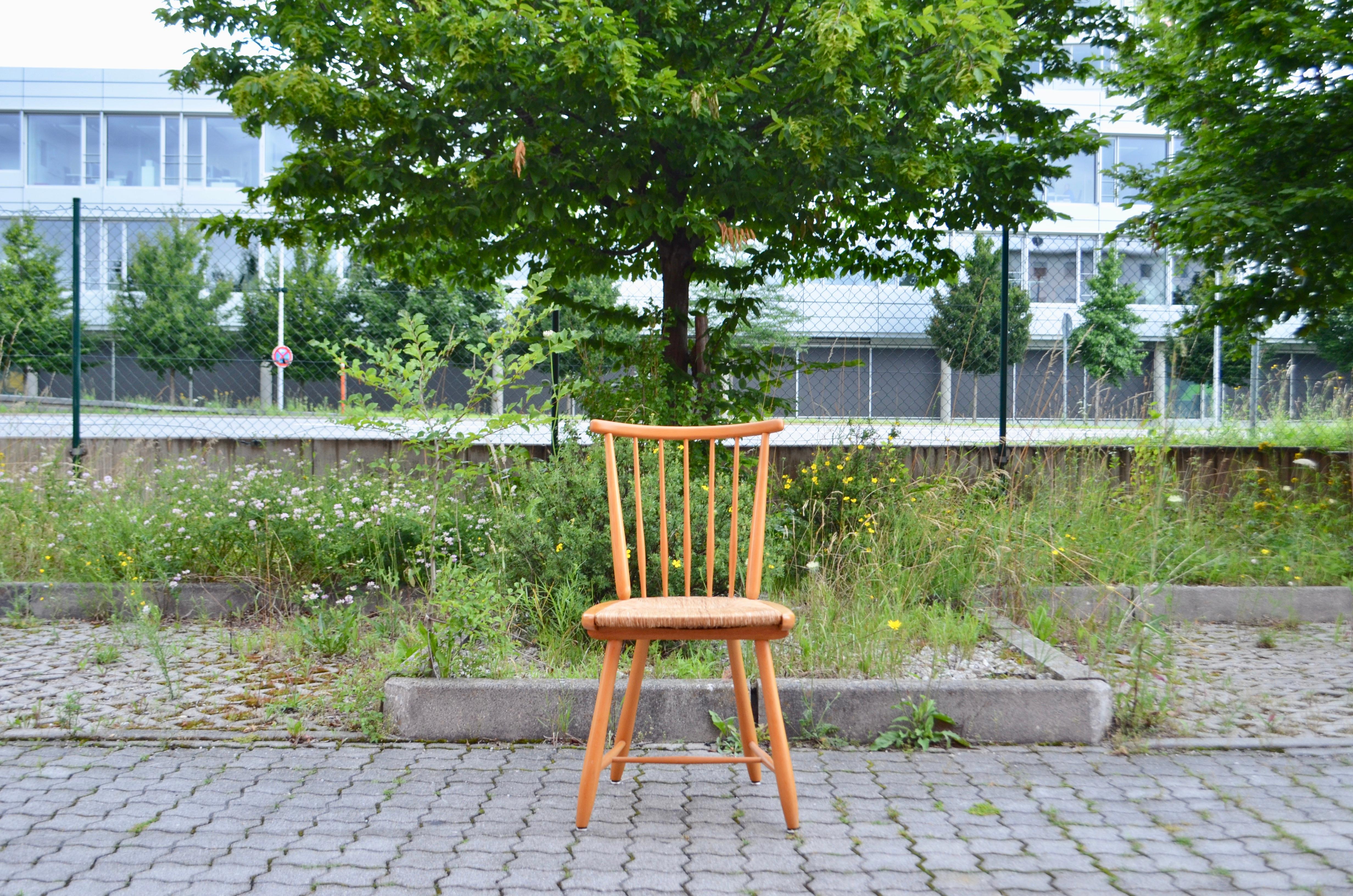 Germany Dining Chairs Wk Möbel Arno Lambrecht Wks Series 1950 Set of 4 For Sale 5