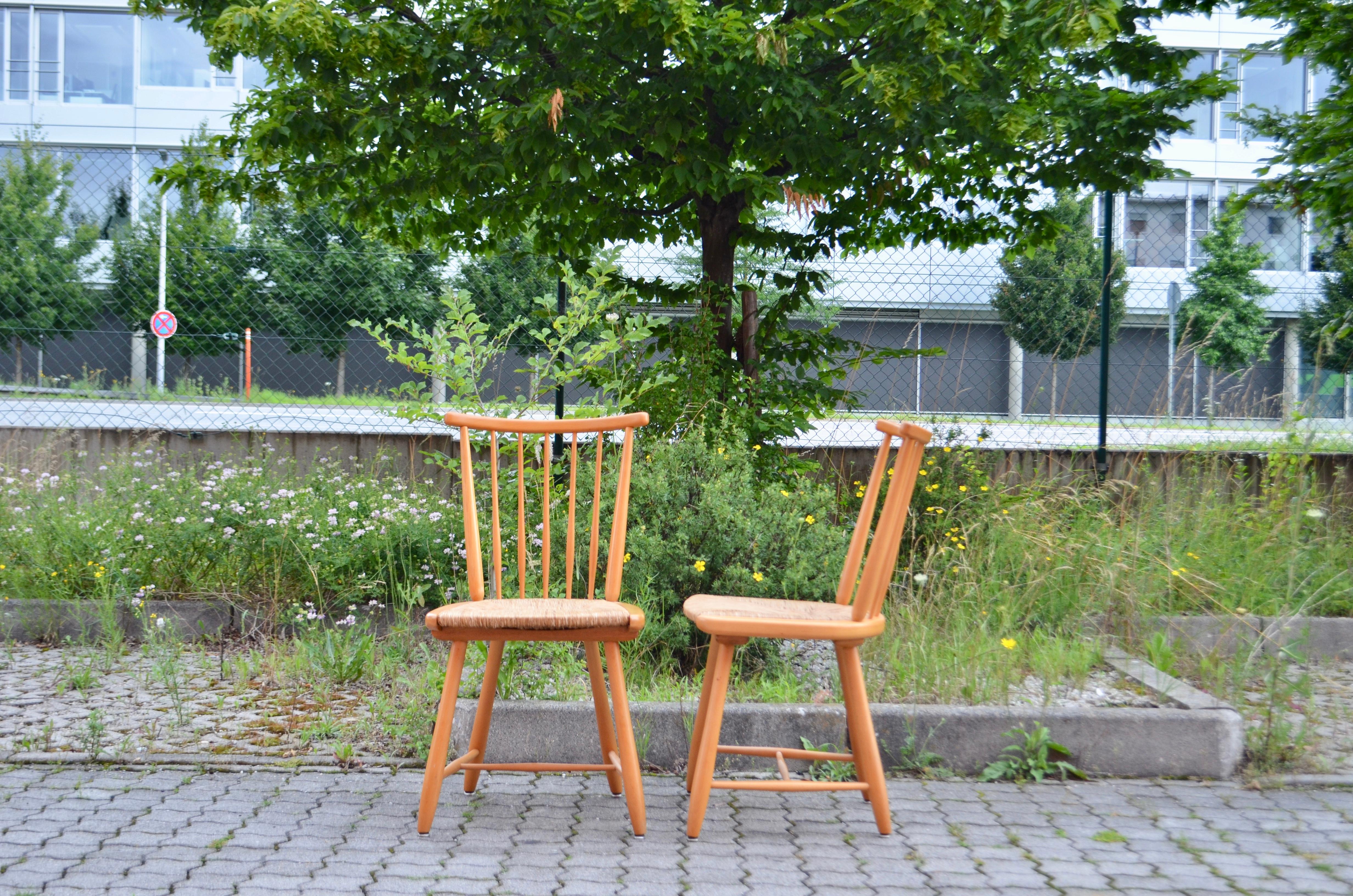 Germany Dining Chairs Wk Möbel Arno Lambrecht Wks Series 1950 Set of 4 For Sale 1