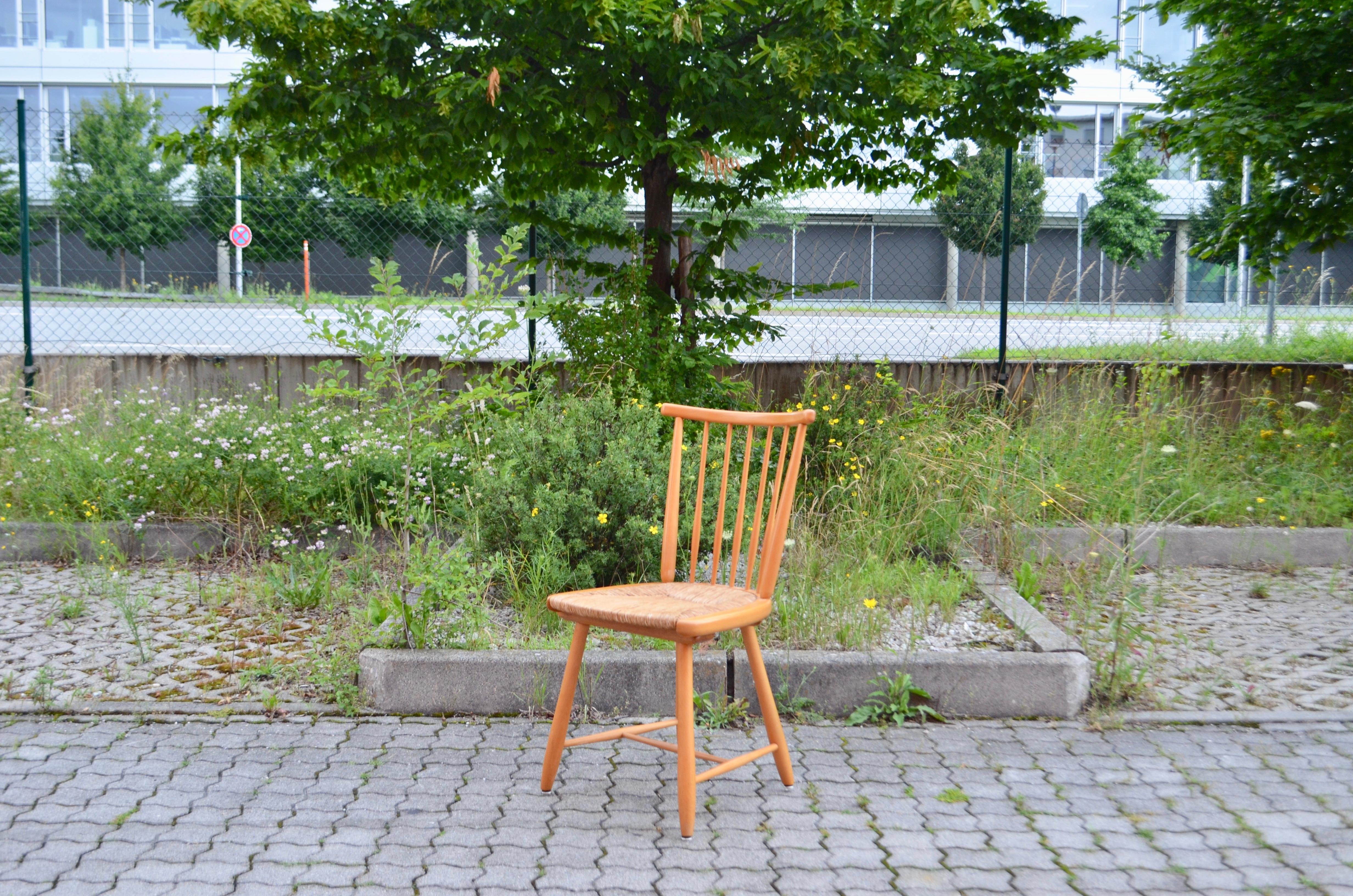 Germany Dining Chairs Wk Möbel Arno Lambrecht Wks Series 1950 Set of 4 For Sale 2